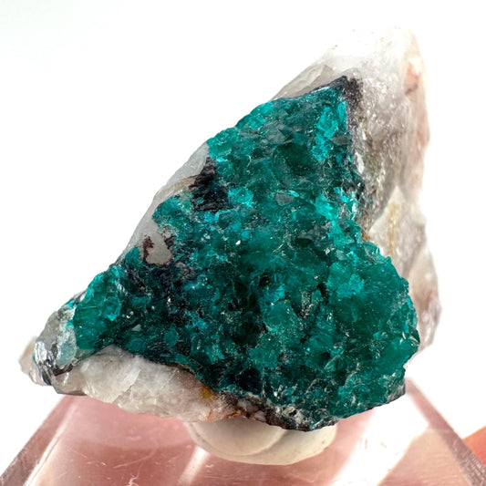 Dioptase (Congo) | mineral specimen, raw dioptase, dioptase crystal