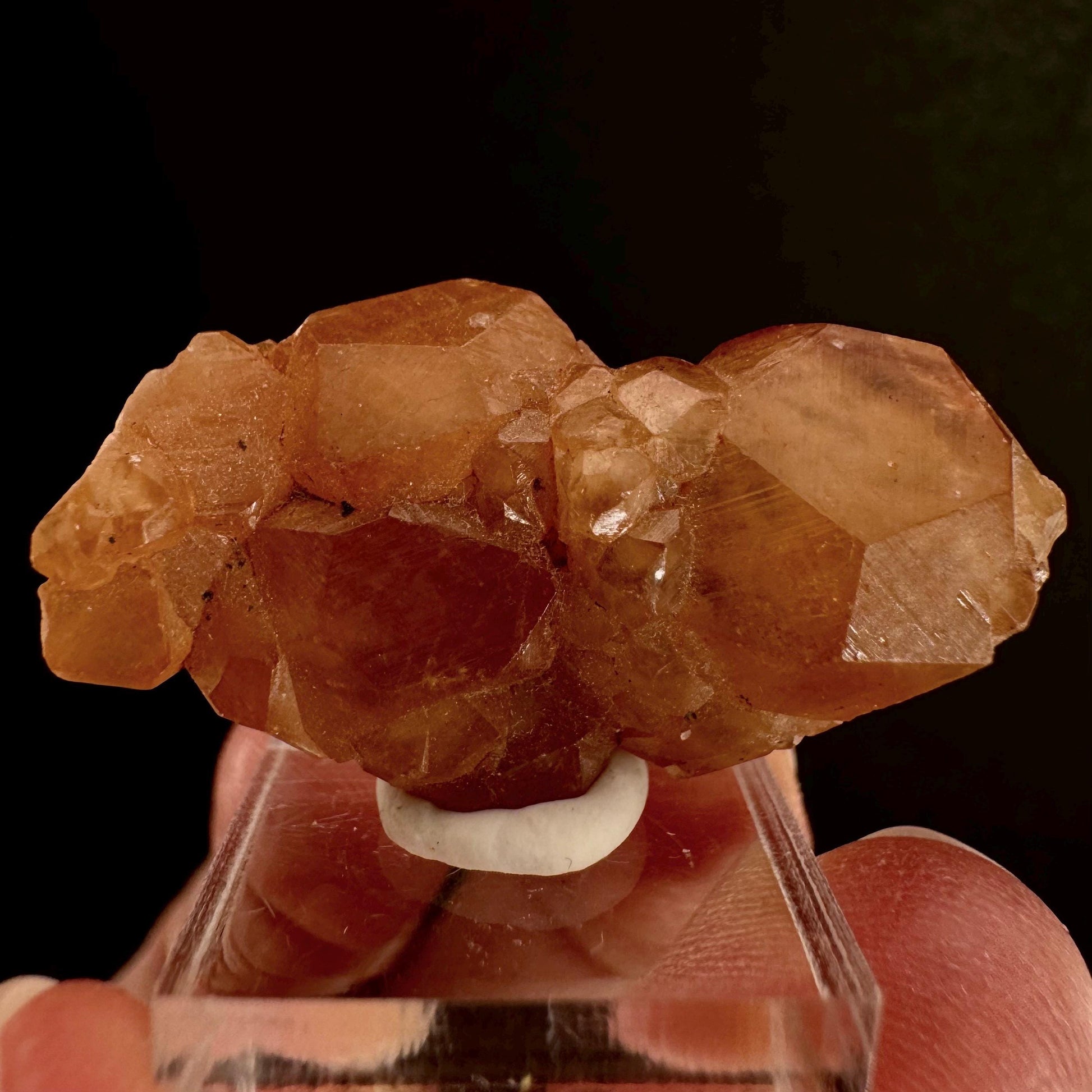 Hessonite Garnet (Pakistan) | rare garnet, orange garnet crystal, garnet crystal, mineral specimen