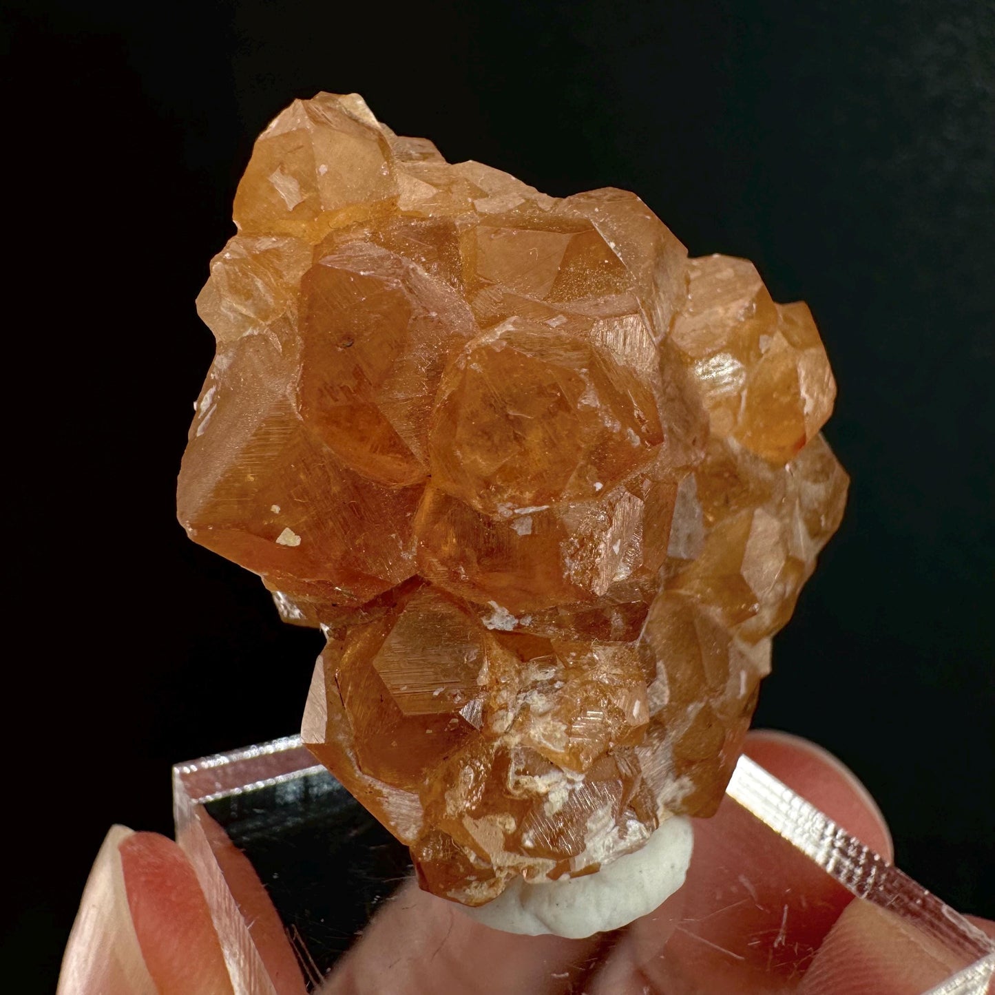 Hessonite Garnet (Pakistan) | rare garnet, orange garnet crystal, garnet crystal, mineral specimen