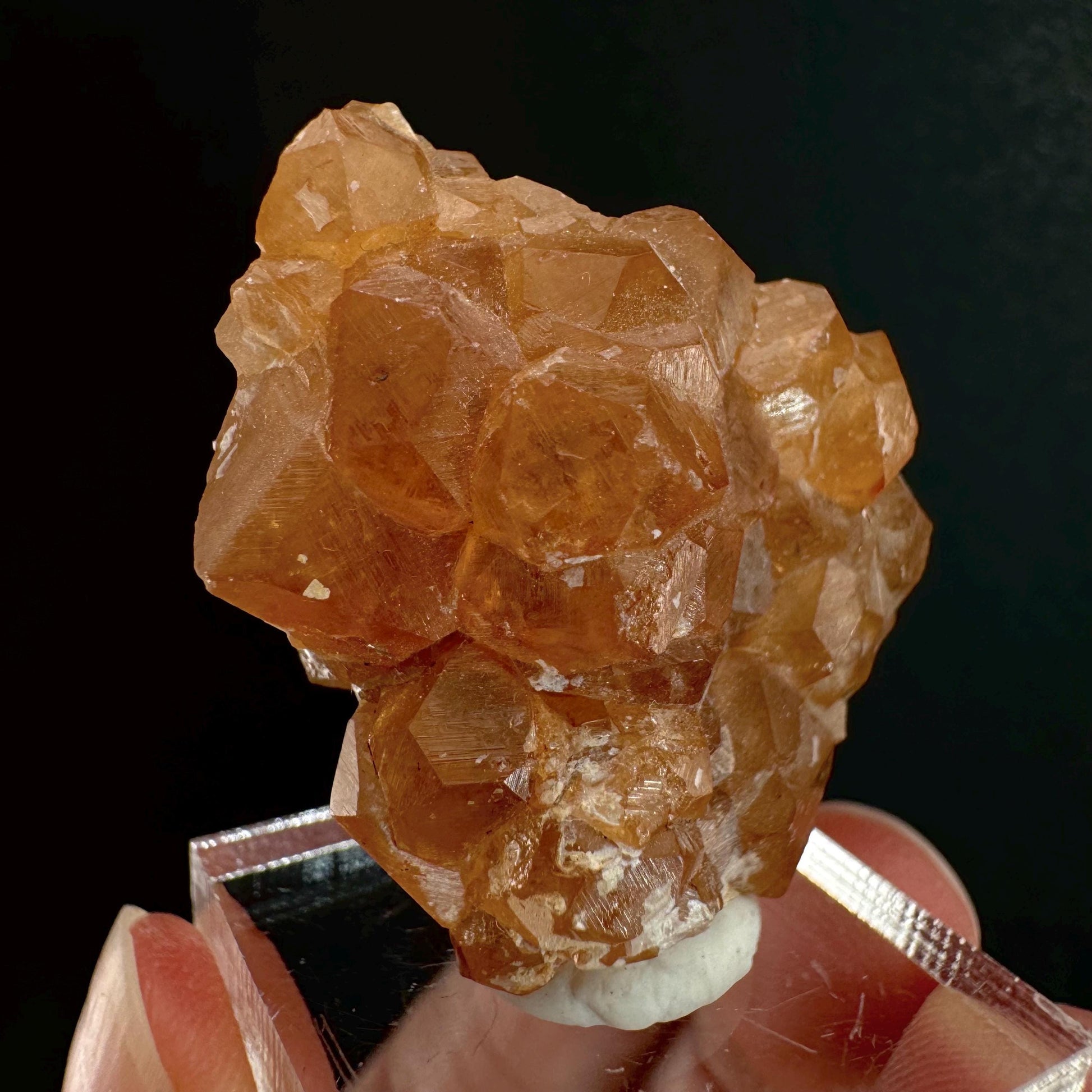 Hessonite Garnet (Pakistan) | rare garnet, orange garnet crystal, garnet crystal, mineral specimen