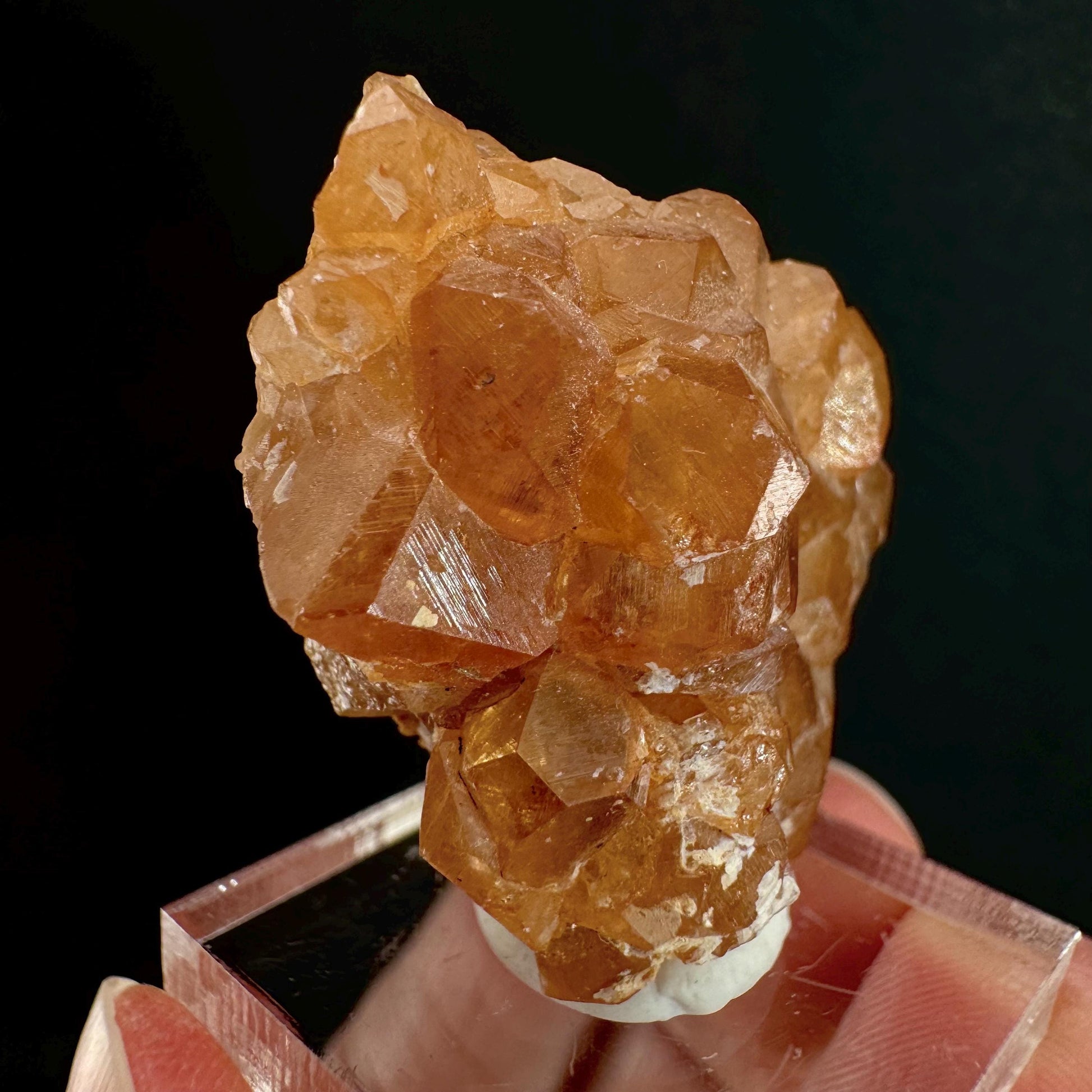 Hessonite Garnet (Pakistan) | rare garnet, orange garnet crystal, garnet crystal, mineral specimen