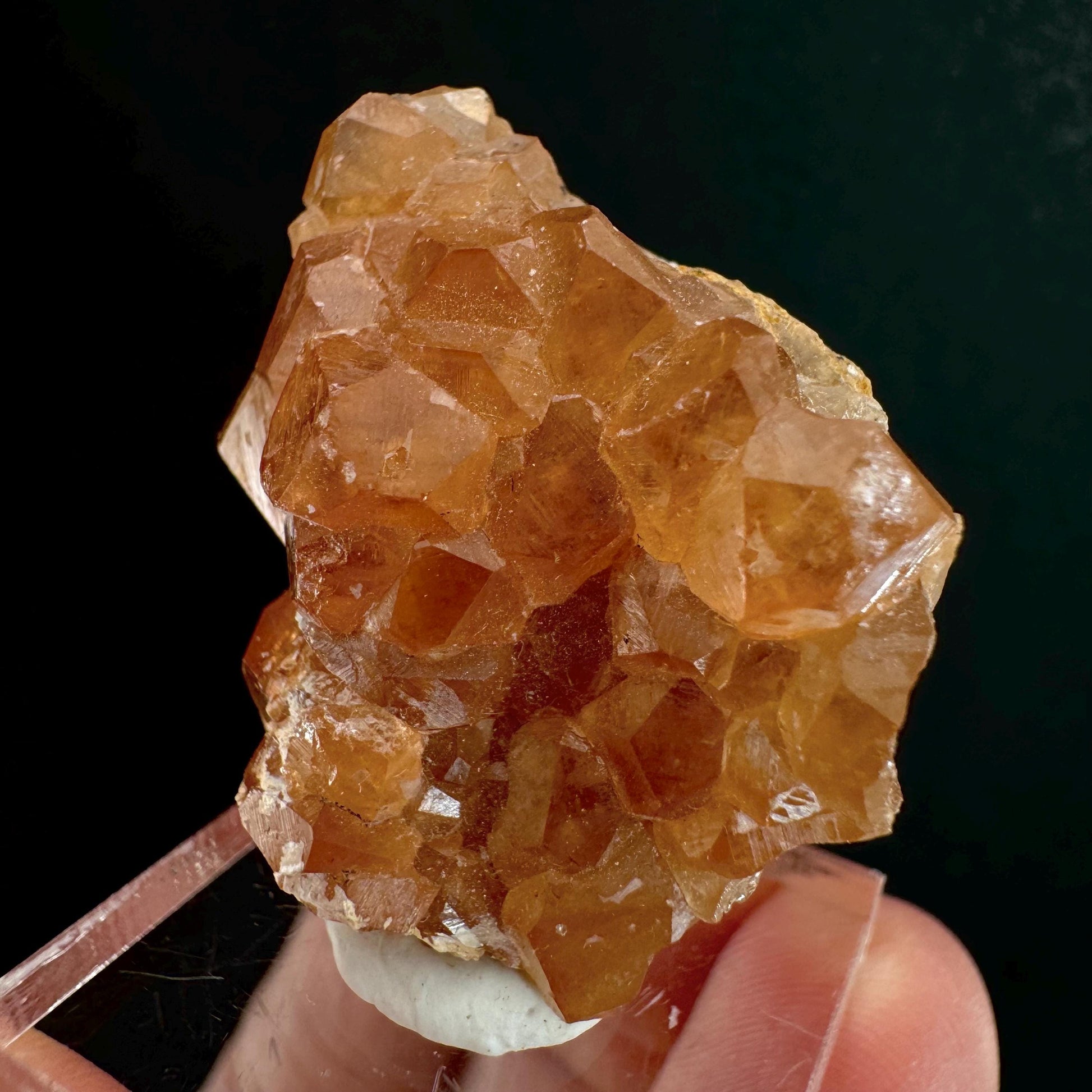 Hessonite Garnet (Pakistan) | rare garnet, orange garnet crystal, garnet crystal, mineral specimen