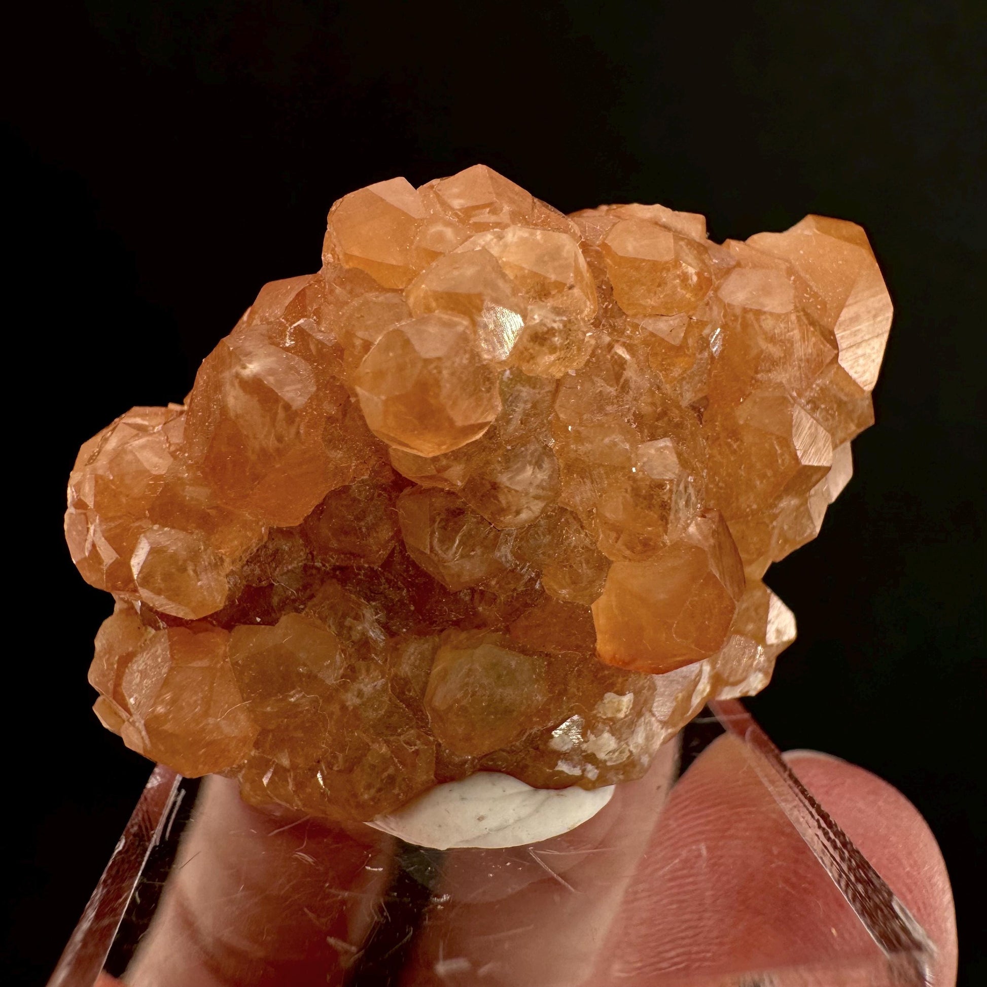 Hessonite Garnet (Pakistan) | rare garnet, orange garnet crystal, garnet crystal, mineral specimen