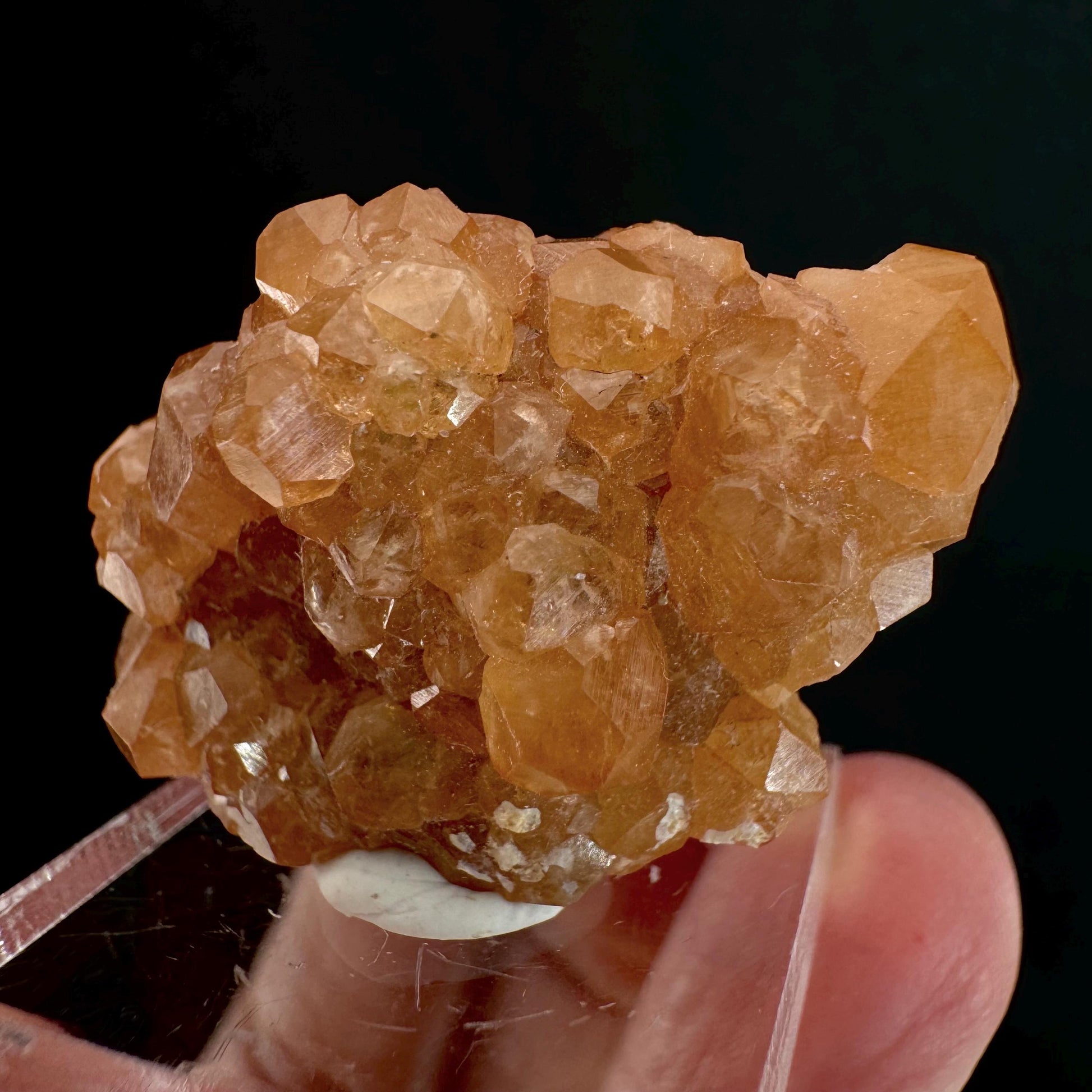 Hessonite Garnet (Pakistan) | rare garnet, orange garnet crystal, garnet crystal, mineral specimen