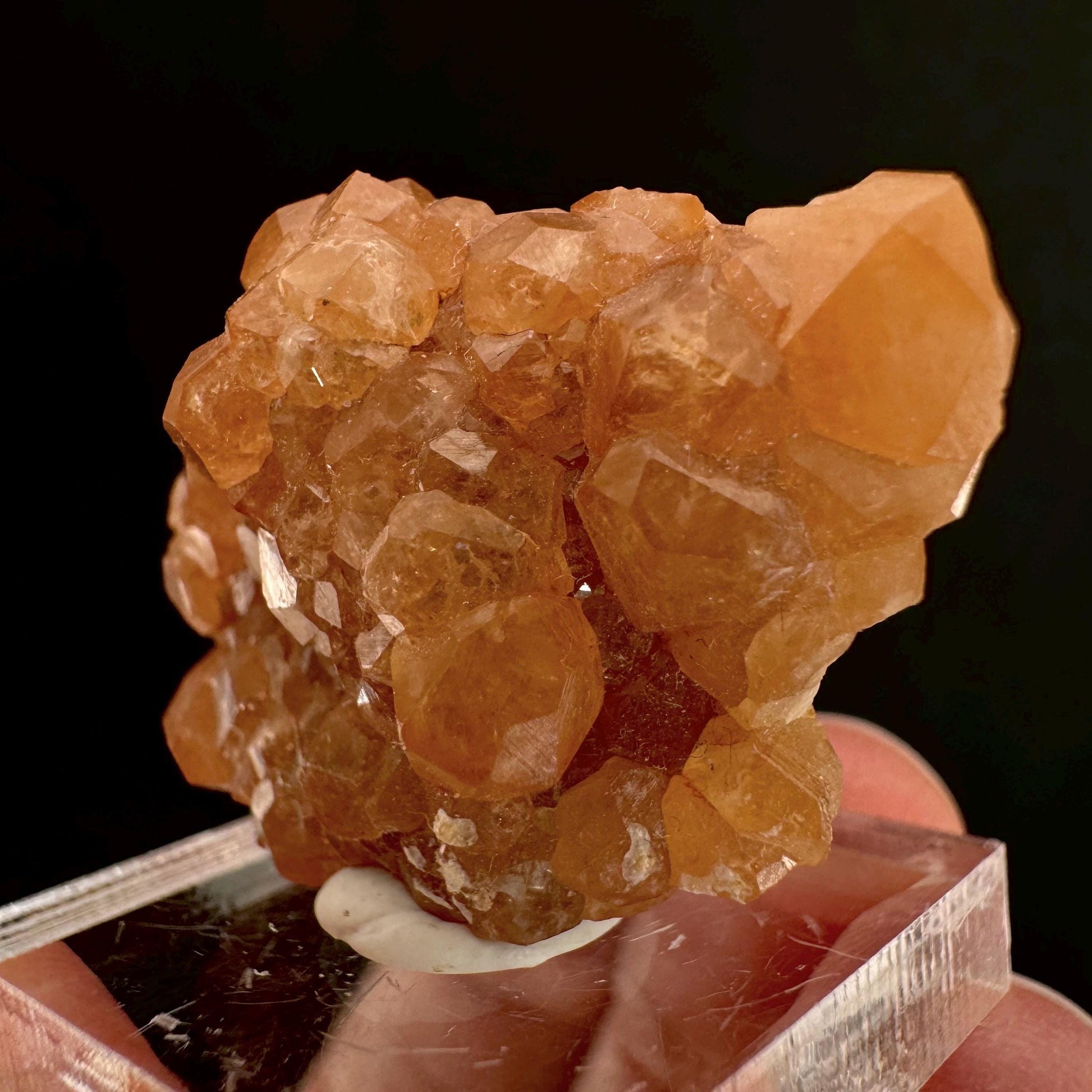 Hessonite Garnet (Pakistan) | rare garnet, orange garnet crystal, garnet crystal, mineral specimen