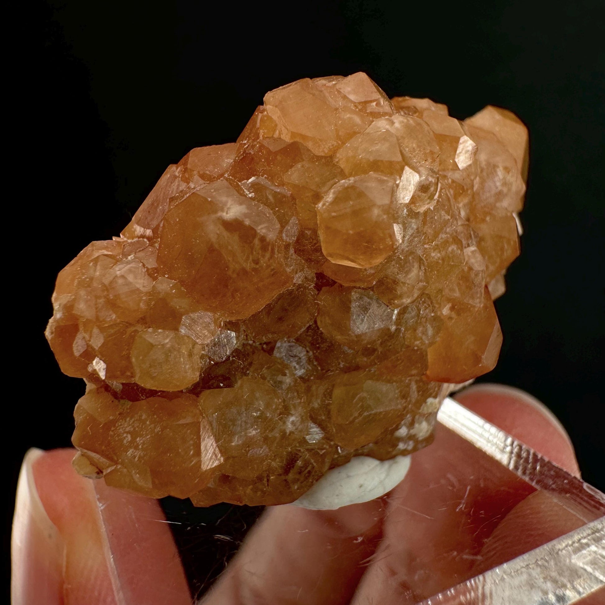 Hessonite Garnet (Pakistan) | rare garnet, orange garnet crystal, garnet crystal, mineral specimen