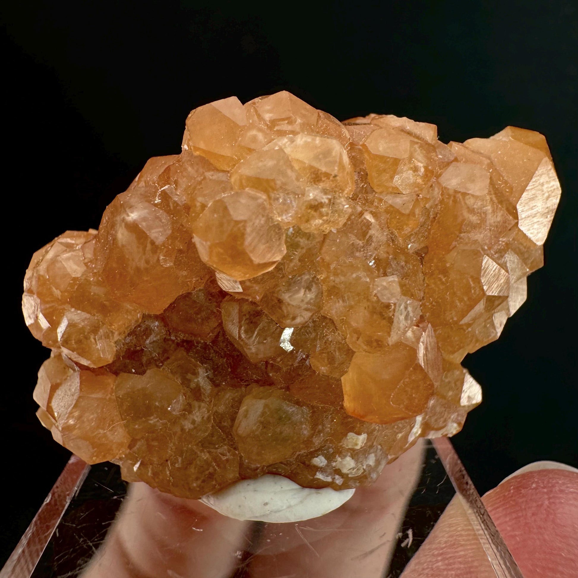 Hessonite Garnet (Pakistan) | rare garnet, orange garnet crystal, garnet crystal, mineral specimen