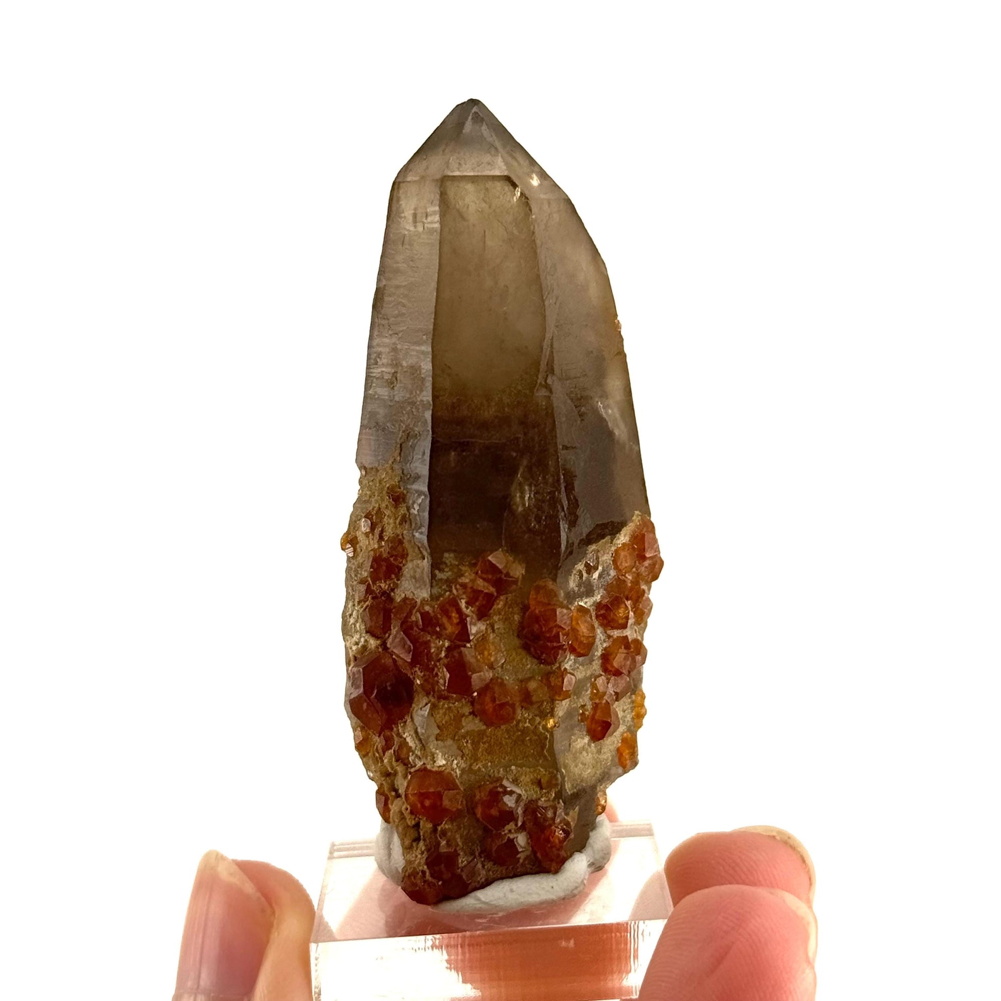 Spessartine Garnet on Smoky Quartz (China) | garnet crystal, rare crystals, orange garnet, mineral specimen