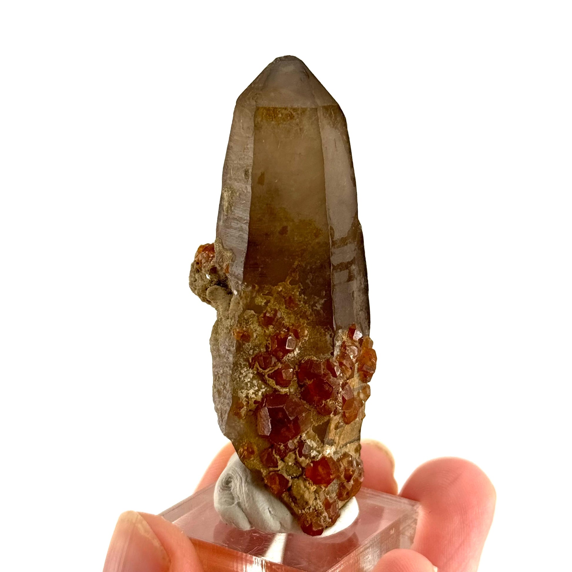 Spessartine Garnet on Smoky Quartz (China) | garnet crystal, rare crystals, orange garnet, mineral specimen