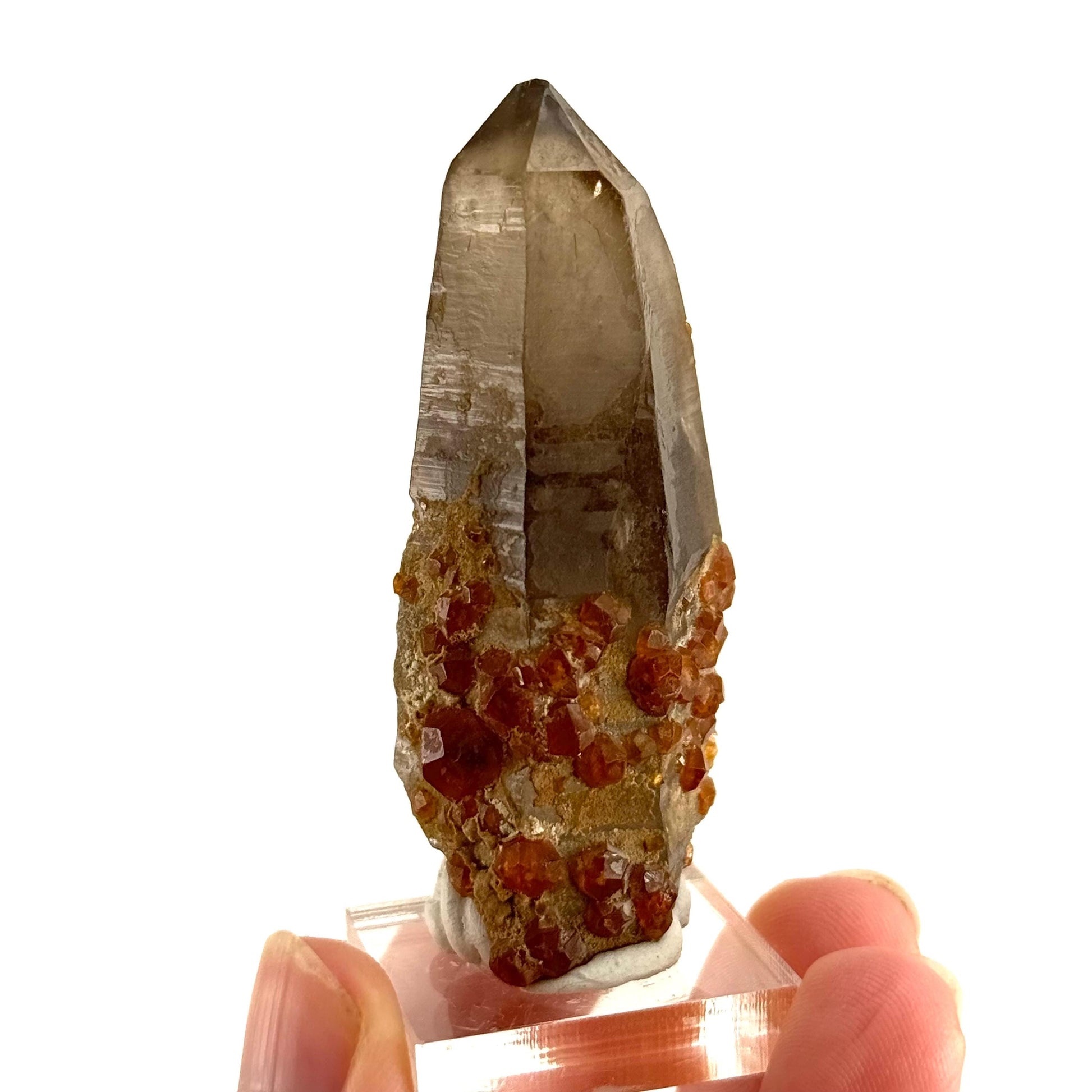 Spessartine Garnet on Smoky Quartz (China) | garnet crystal, rare crystals, orange garnet, mineral specimen