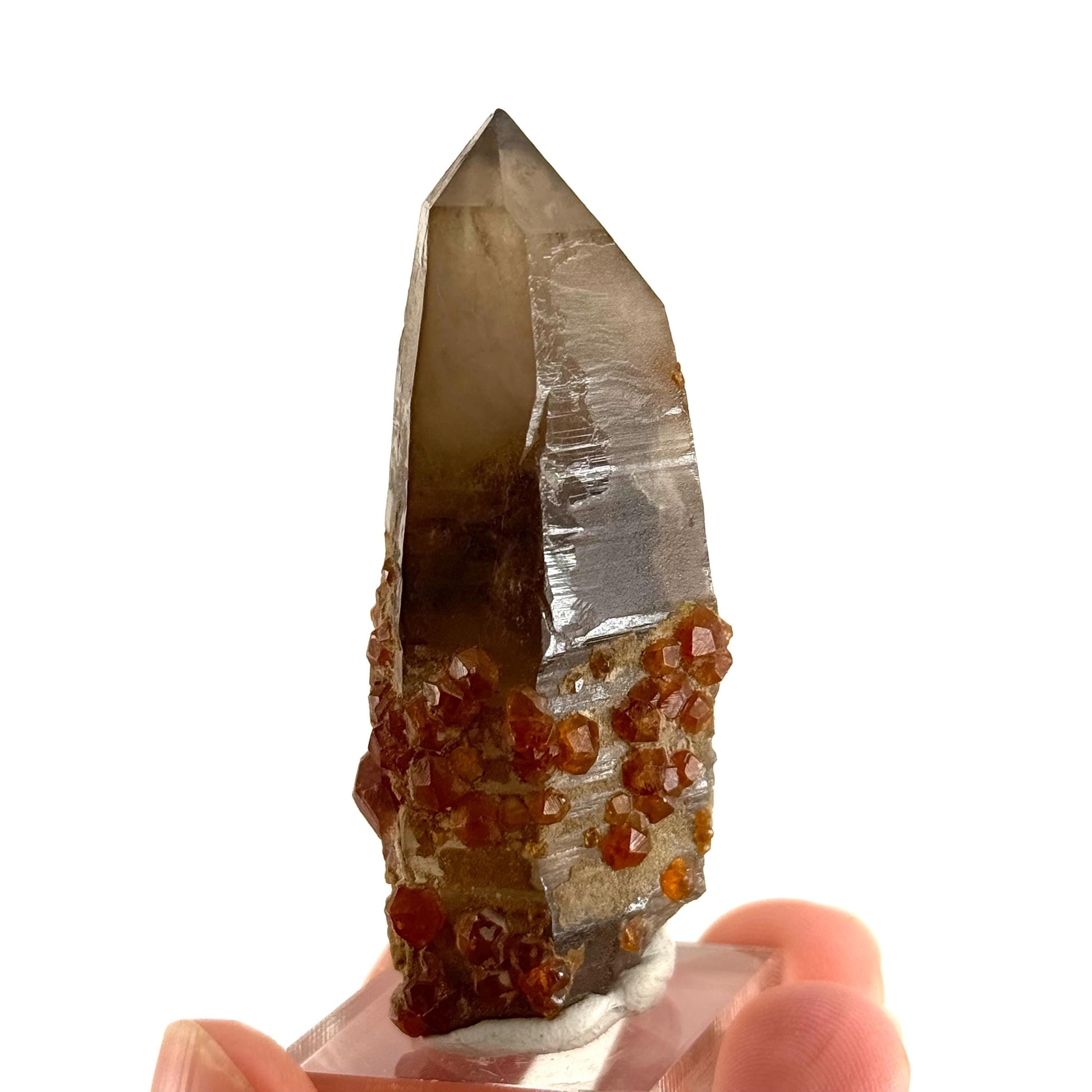 Spessartine Garnet on Smoky Quartz (China) | garnet crystal, rare crystals, orange garnet, mineral specimen