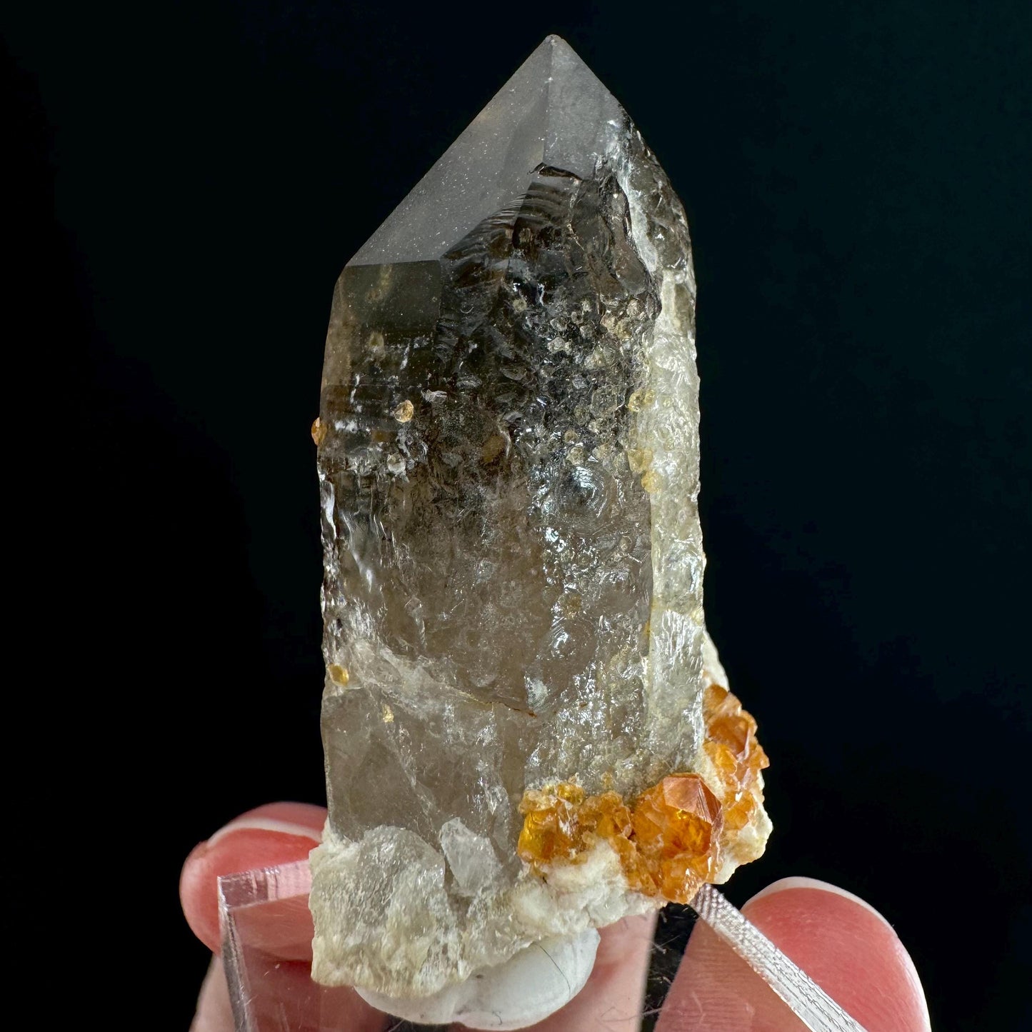 Spessartine Garnet on Smoky Quartz (China) | garnet crystal, rare crystals, orange garnet, mineral specimen