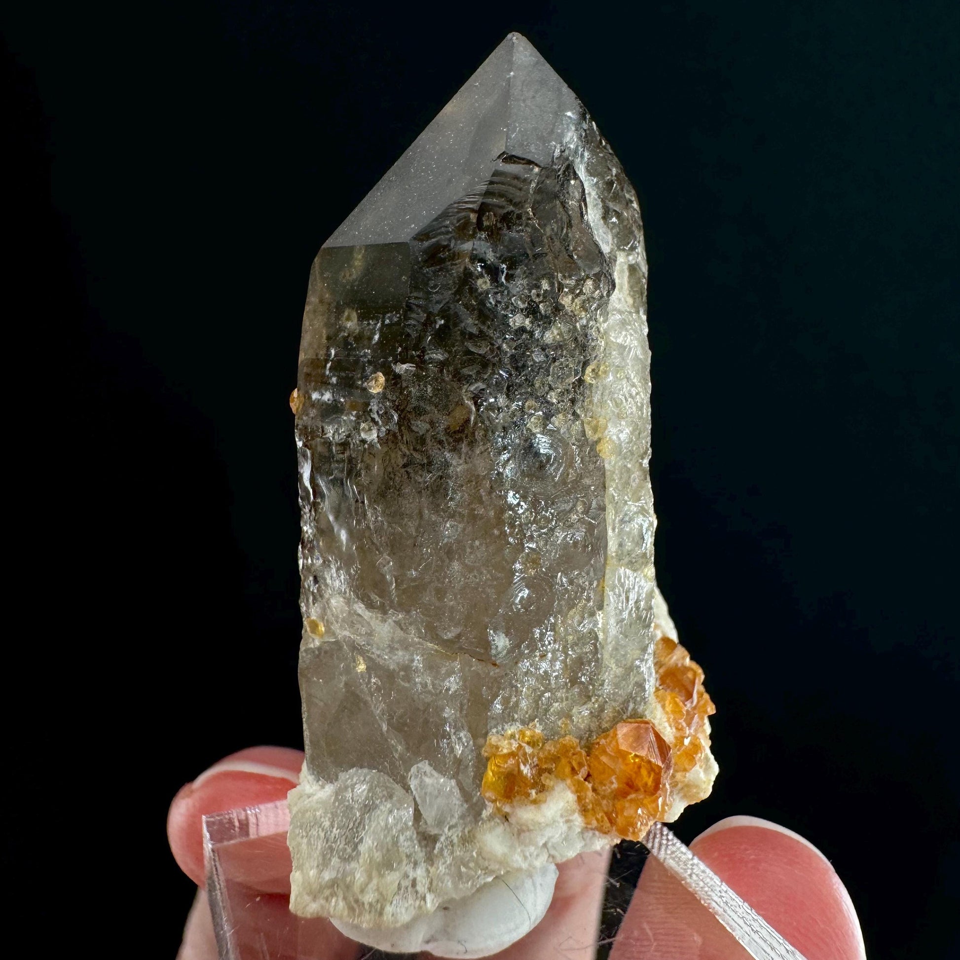 Spessartine Garnet on Smoky Quartz (China) | garnet crystal, rare crystals, orange garnet, mineral specimen