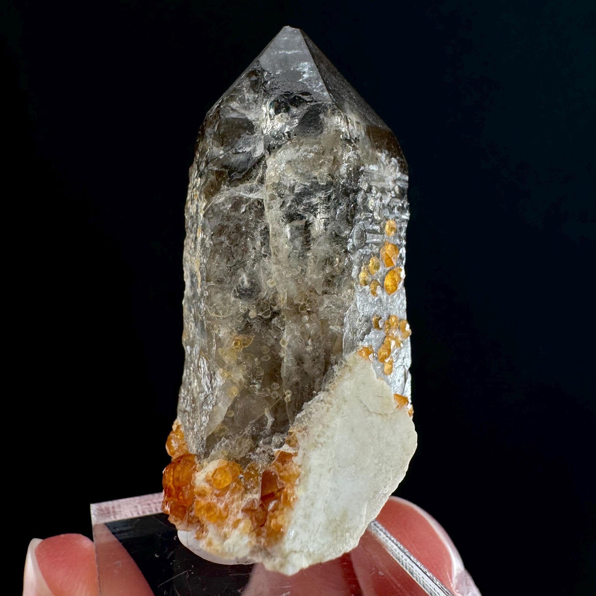 Spessartine Garnet on Smoky Quartz (China) | garnet crystal, rare crystals, orange garnet, mineral specimen