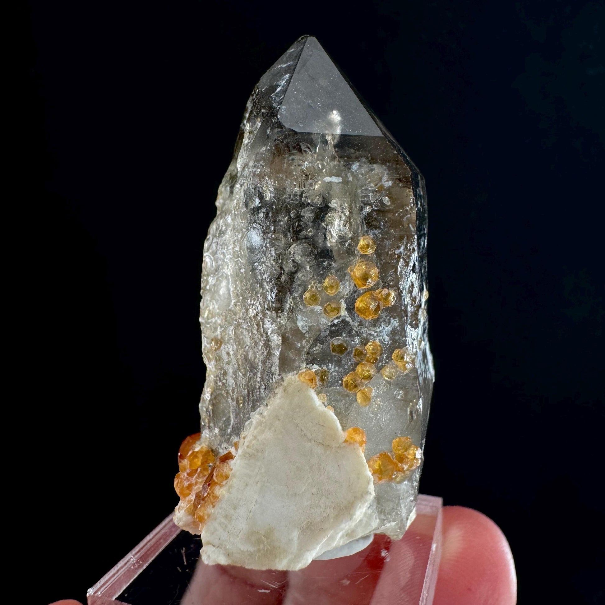 Spessartine Garnet on Smoky Quartz (China) | garnet crystal, rare crystals, orange garnet, mineral specimen