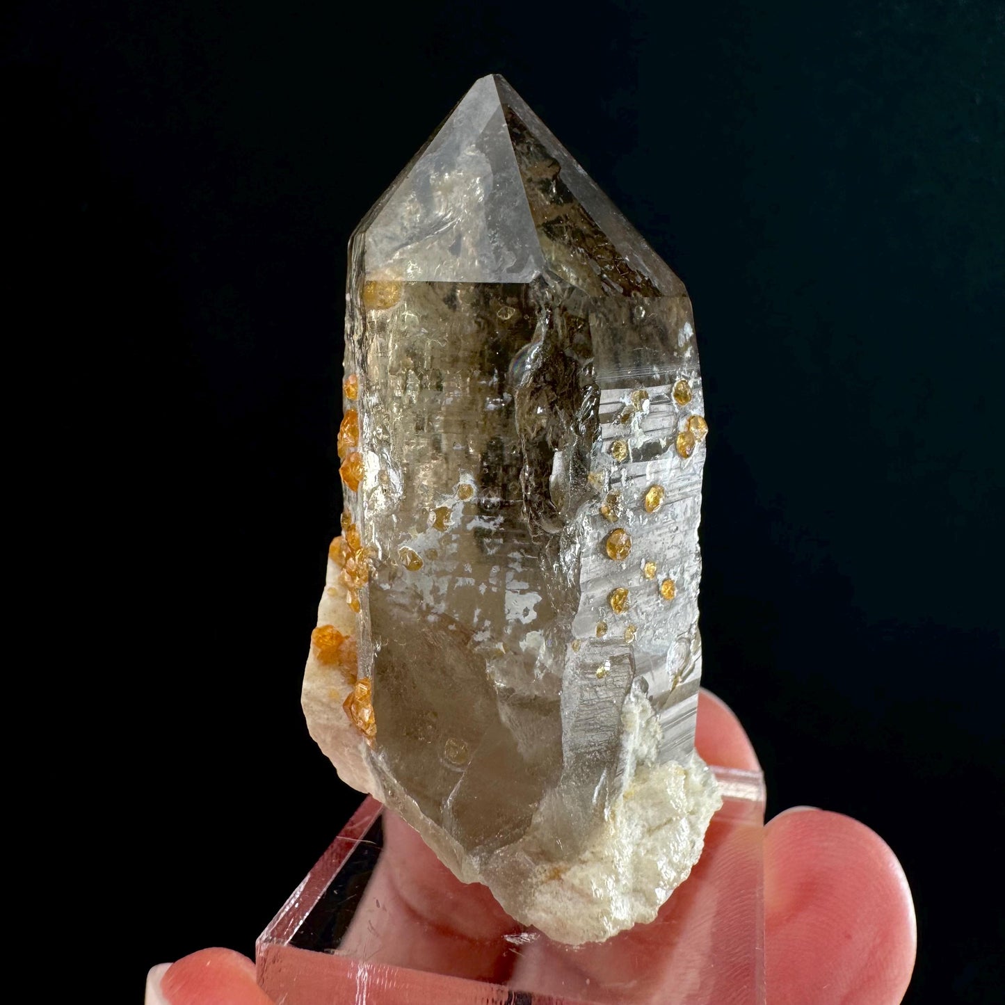 Spessartine Garnet on Smoky Quartz (China) | garnet crystal, rare crystals, orange garnet, mineral specimen