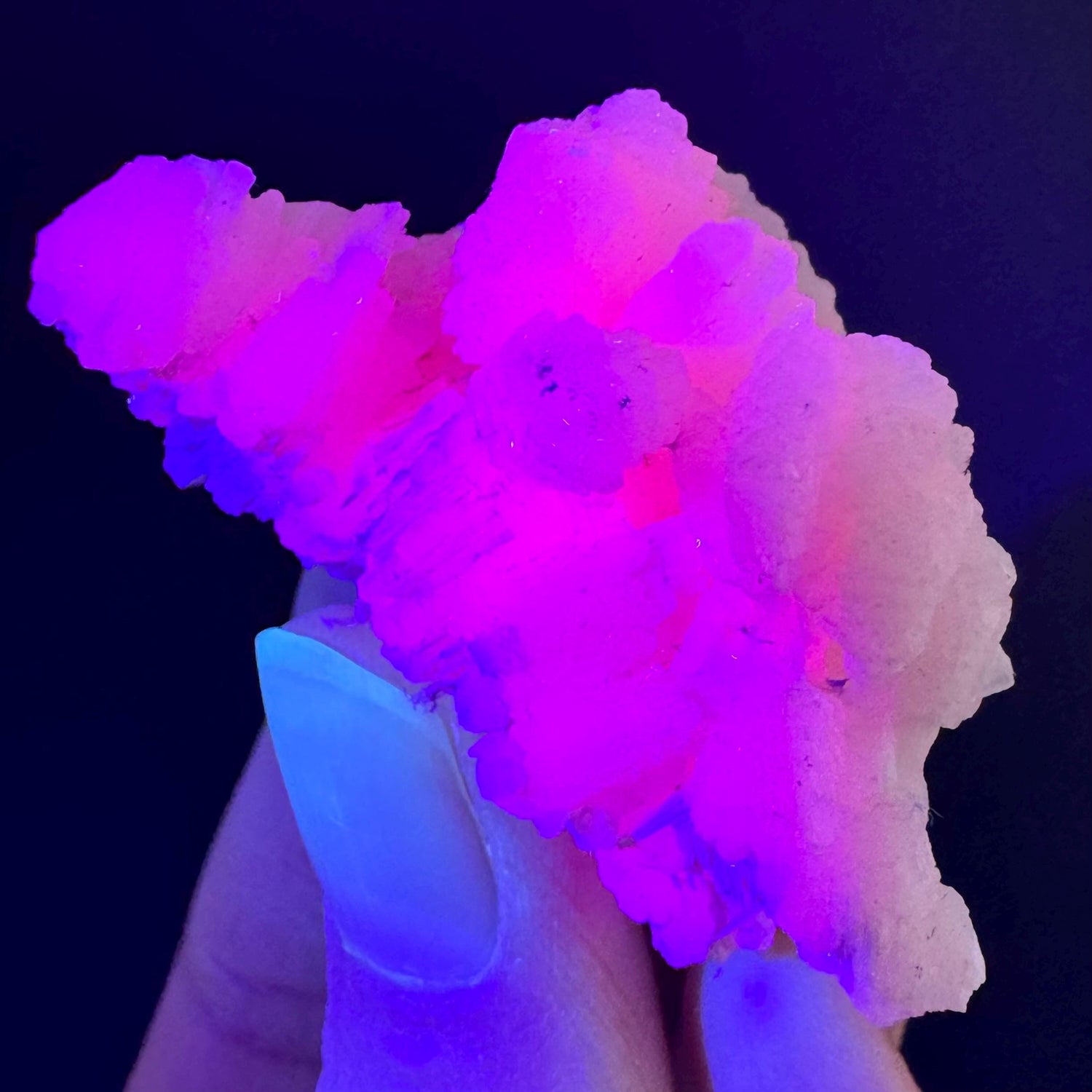 Mangano Calcite w/ Kutnohorite (South Africa) | pink mangano calcite, fluorescent crystal, mineral specimen