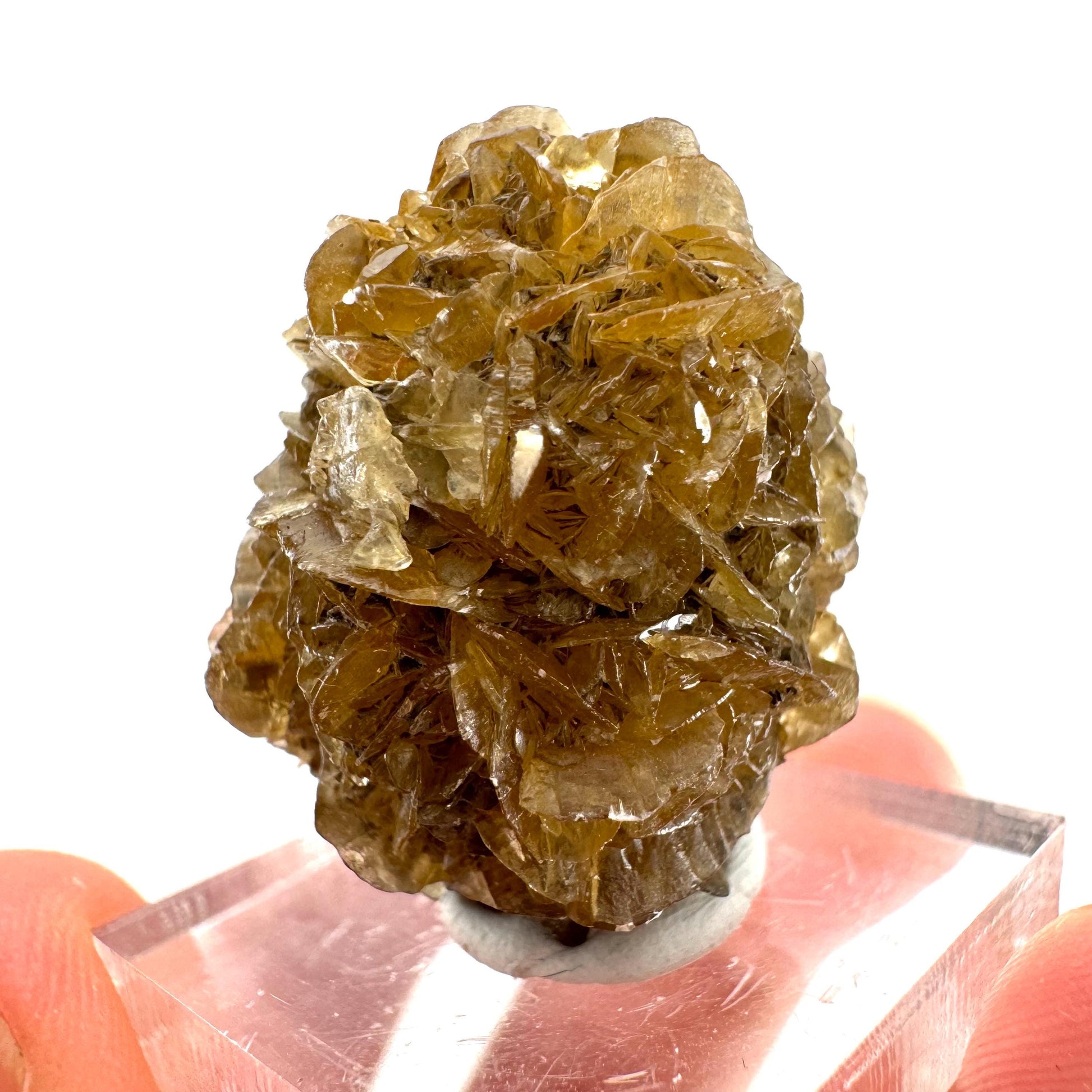 Fluorescent & Phosphorescent Golden Selenite (Canada) | selenite rosette, selenite crystal, UV reactive crystal, crystals