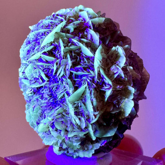Fluorescent & Phosphorescent Golden Selenite (Canada) | selenite rosette, selenite crystal, UV reactive crystal, crystals