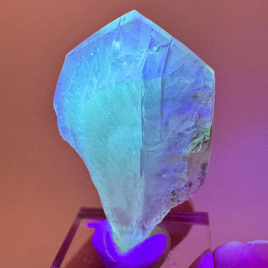 Fluorescent & Phosphorescent Golden Selenite (Canada) | selenite rosette, selenite crystal, UV reactive crystal, crystals