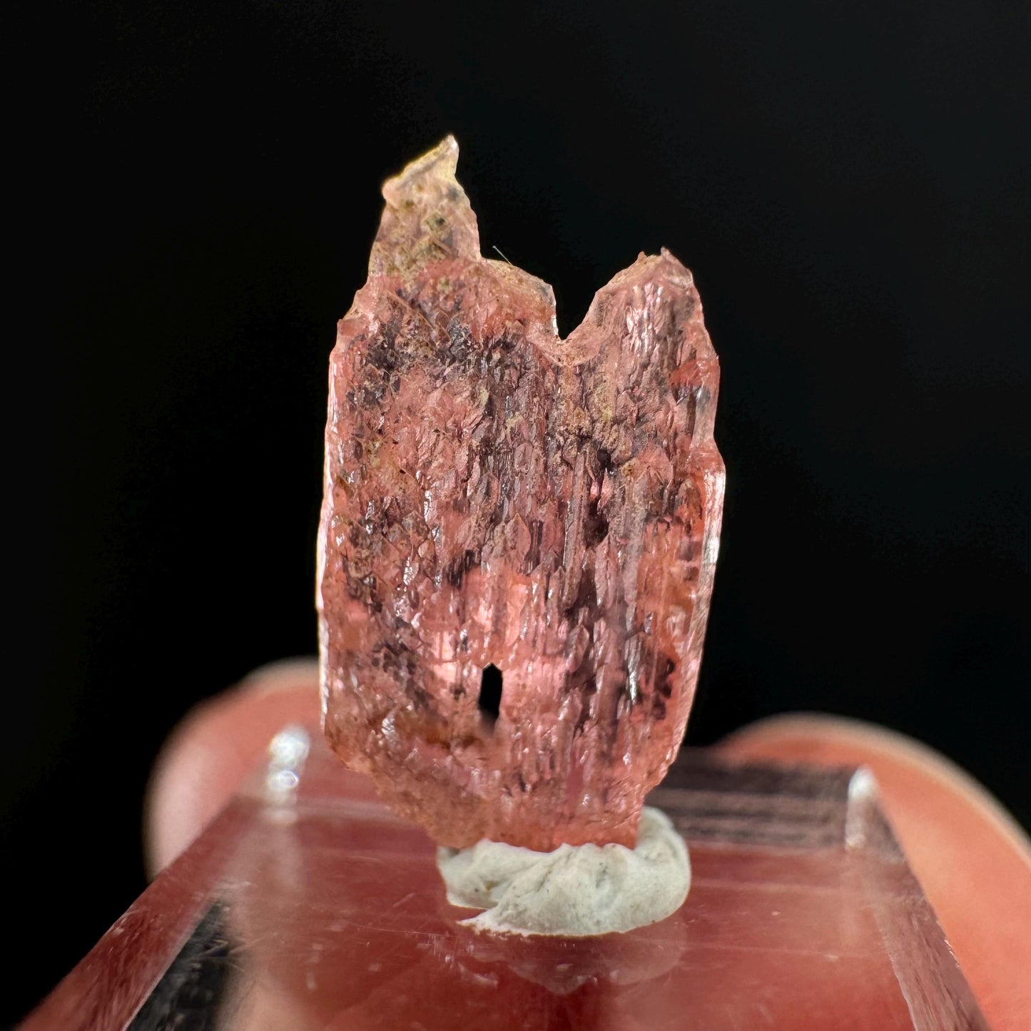 Rare! Vayrynenite (Pakistan) | vayrynenite crystal, rare crystals, mineral specimen, rare minerals, natural vayrynenite