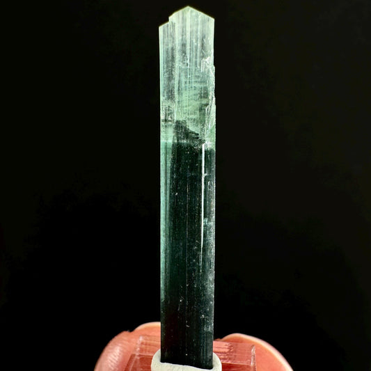 Indicolite Tourmaline (Pakistan) | blue tourmaline, natural tourmaline, green tourmaline, tourmaline crystal, bi color tourmaline