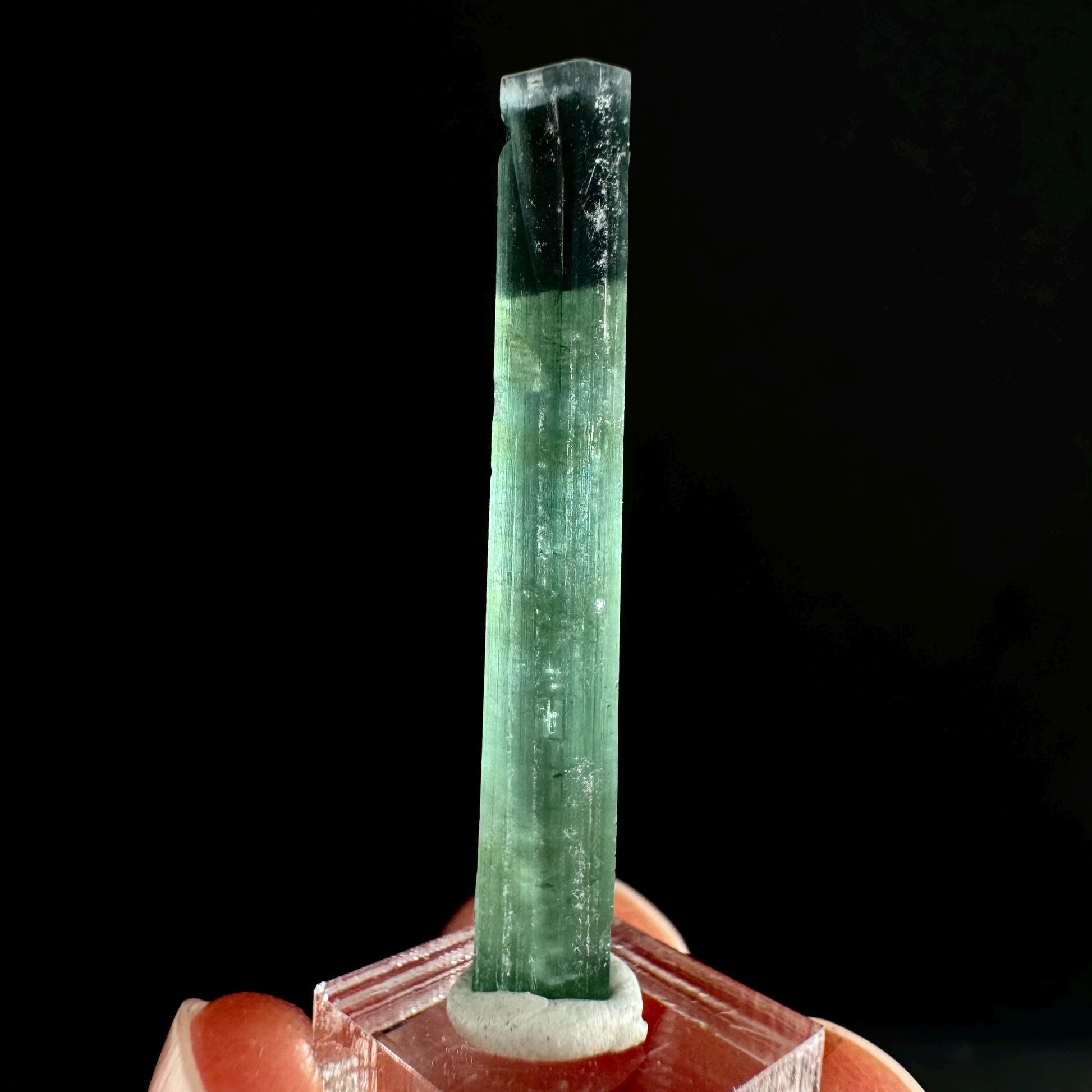 Indicolite Tourmaline (Pakistan) | blue tourmaline, natural tourmaline, green tourmaline, tourmaline crystal, bi color tourmaline