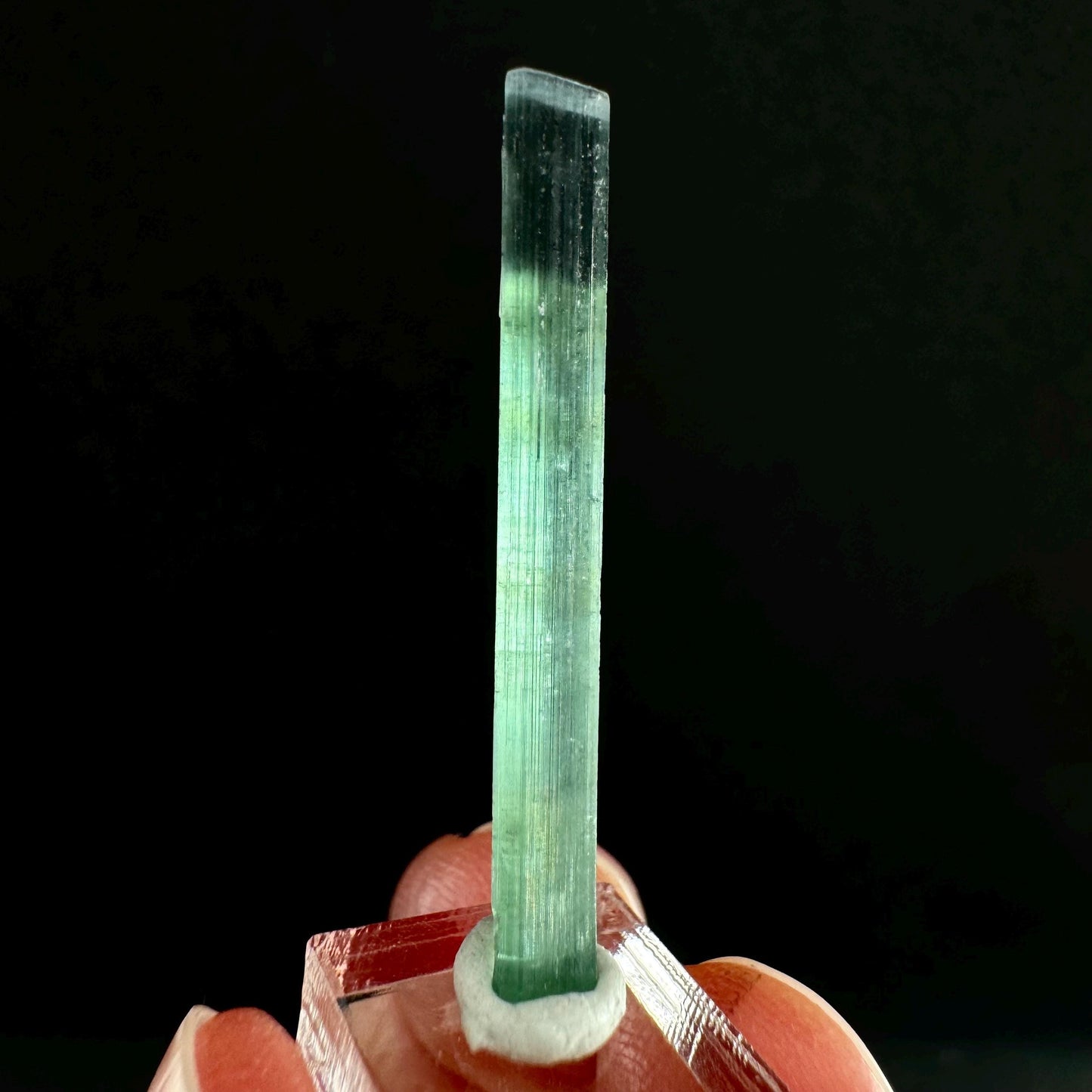 Indicolite Tourmaline (Pakistan) | blue tourmaline, natural tourmaline, green tourmaline, tourmaline crystal, bi color tourmaline