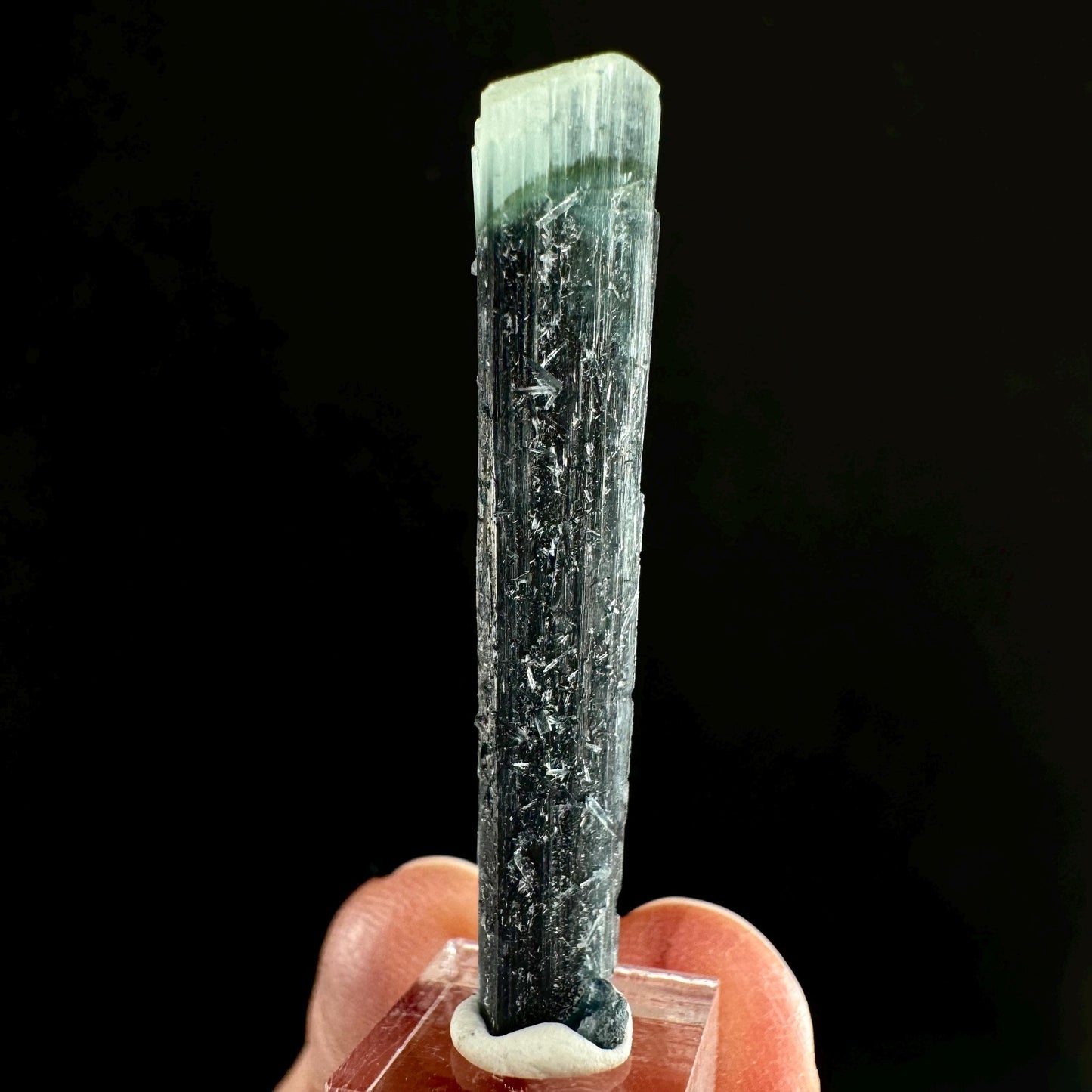 Indicolite Tourmaline (Pakistan) | blue tourmaline, natural tourmaline, green tourmaline, tourmaline crystal, bi color tourmaline