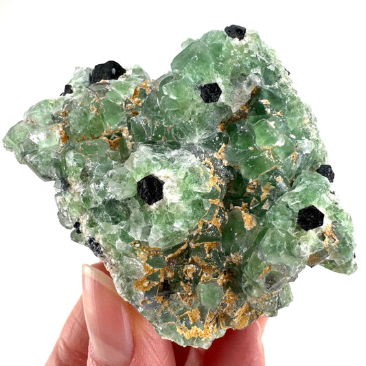Fluorite w/ Schorl (Erongo, Namibia) | Lollipop Pocket, fluorite cluster, green fluorite, mineral specimen
