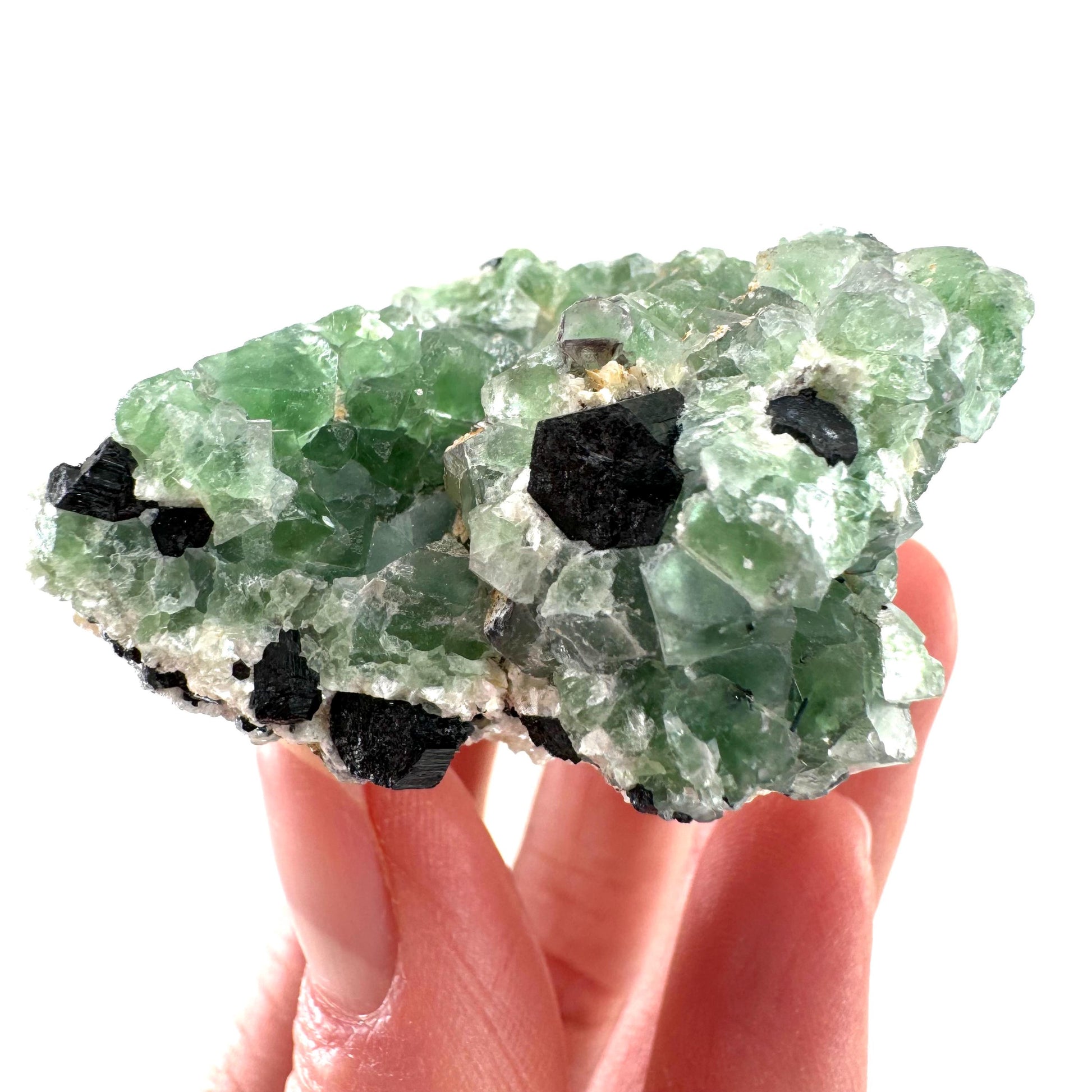 Fluorite w/ Schorl (Erongo, Namibia) | Lollipop Pocket, fluorite cluster, green fluorite, mineral specimen