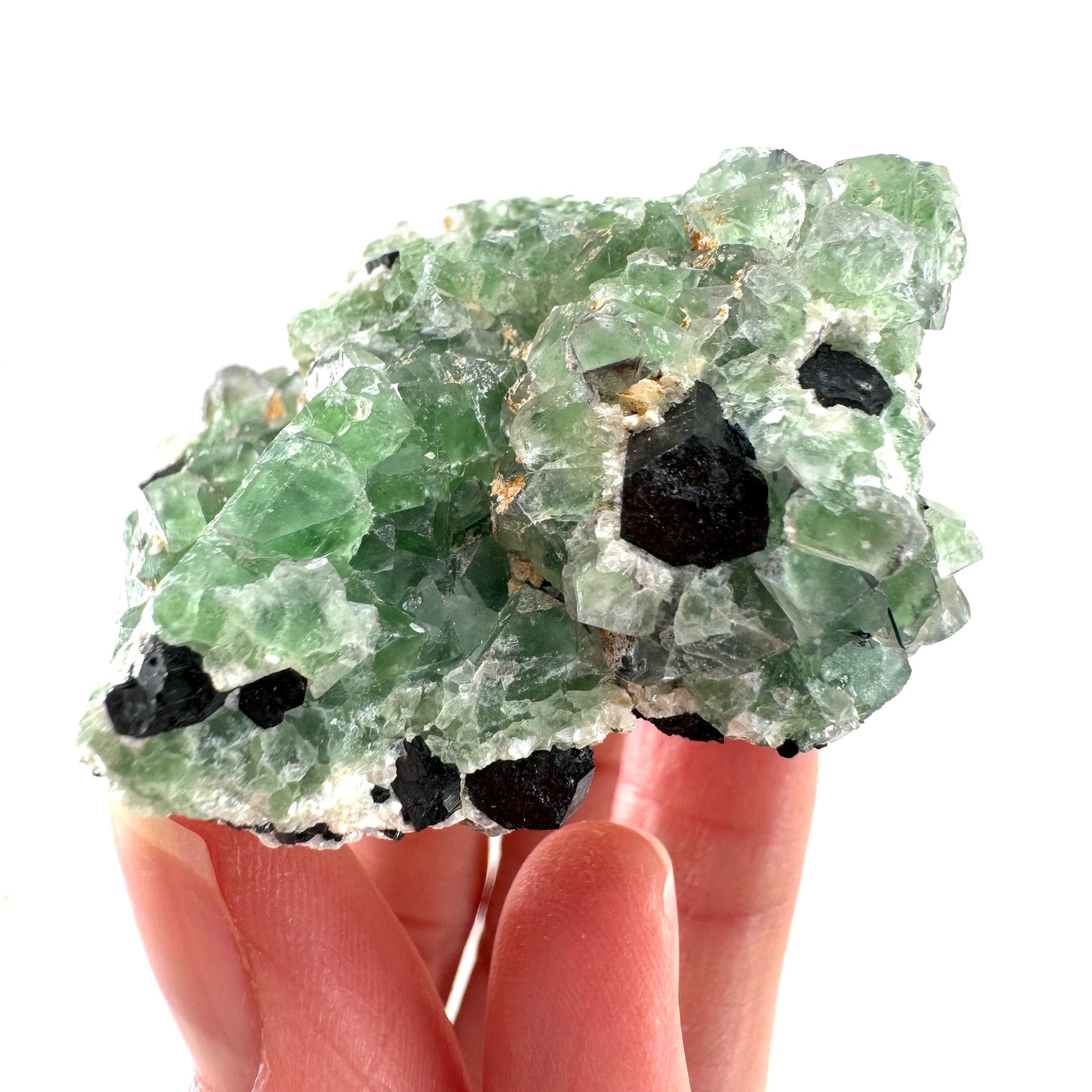 Fluorite w/ Schorl (Erongo, Namibia) | Lollipop Pocket, fluorite cluster, green fluorite, mineral specimen