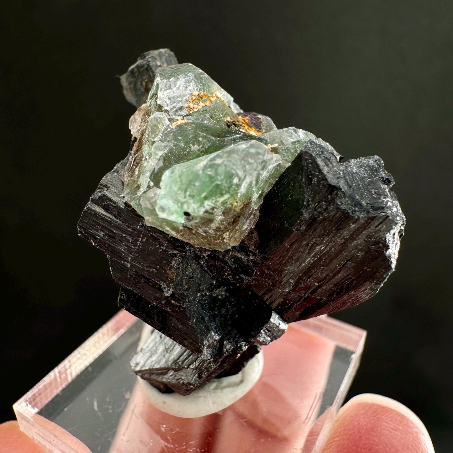 Fluorite w/ Schorl (Erongo, Namibia) | Lollipop Pocket, fluorite cluster, green fluorite, mineral specimen