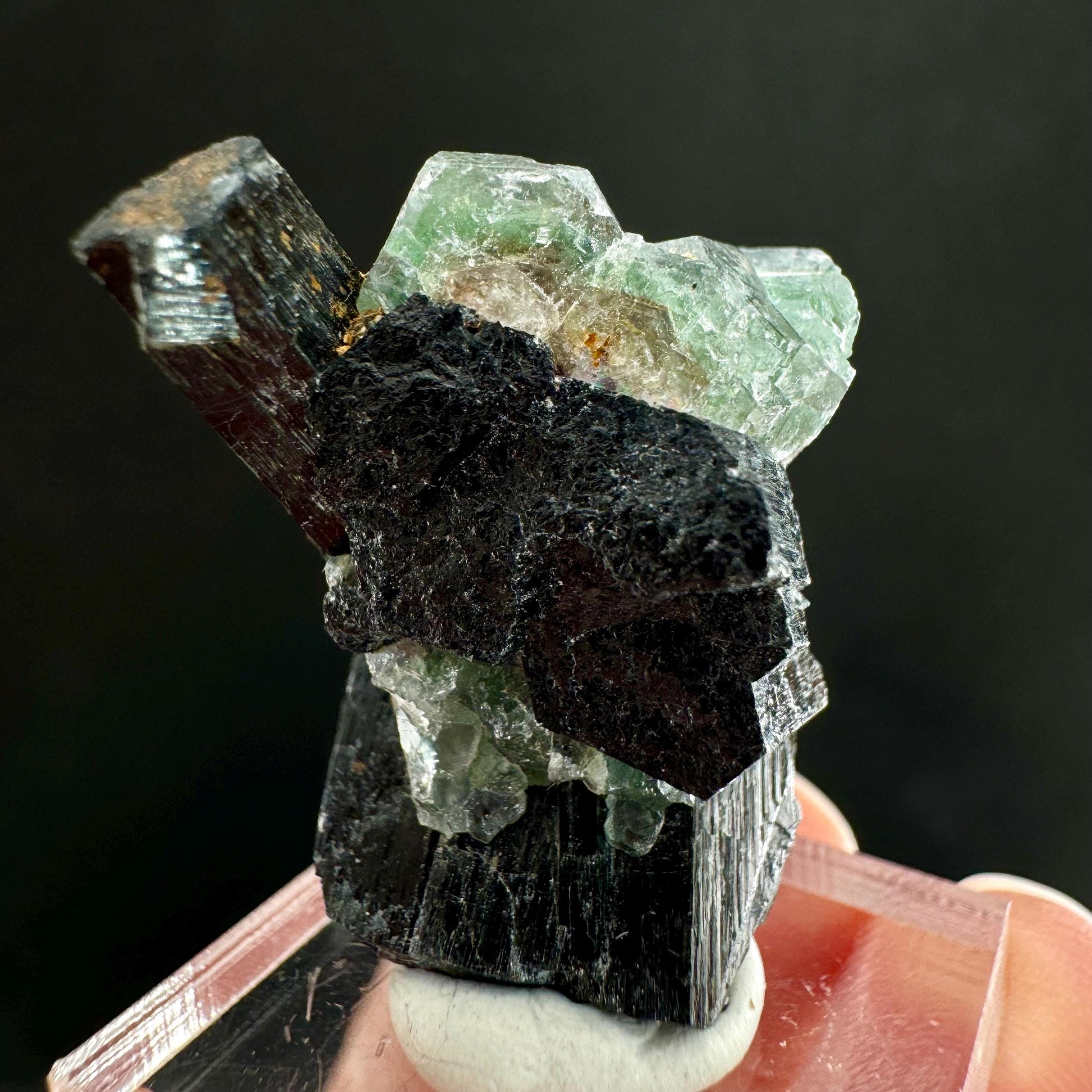 Fluorite w/ Schorl (Erongo, Namibia) | Lollipop Pocket, fluorite cluster, green fluorite, mineral specimen