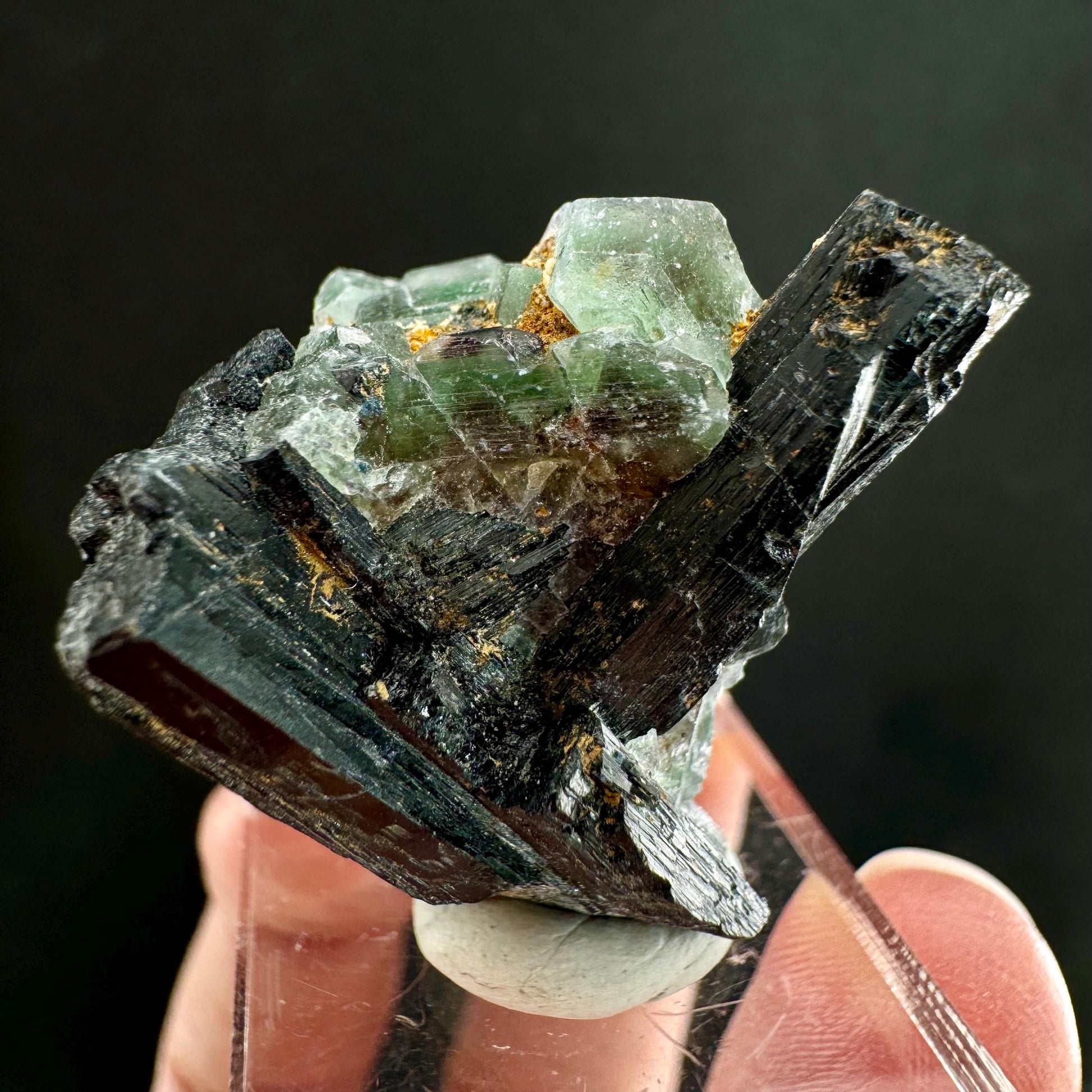 Fluorite w/ Schorl (Erongo, Namibia) | Lollipop Pocket, fluorite cluster, green fluorite, mineral specimen