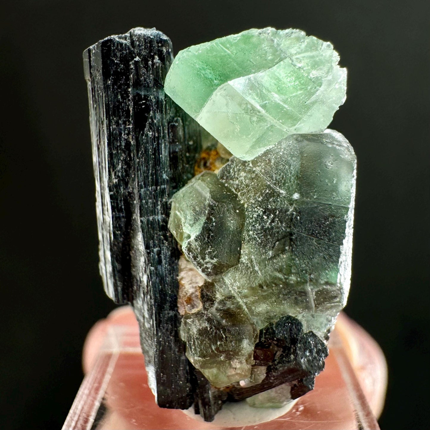 Fluorite w/ Schorl (Erongo, Namibia) | Lollipop Pocket, fluorite cluster, green fluorite, mineral specimen