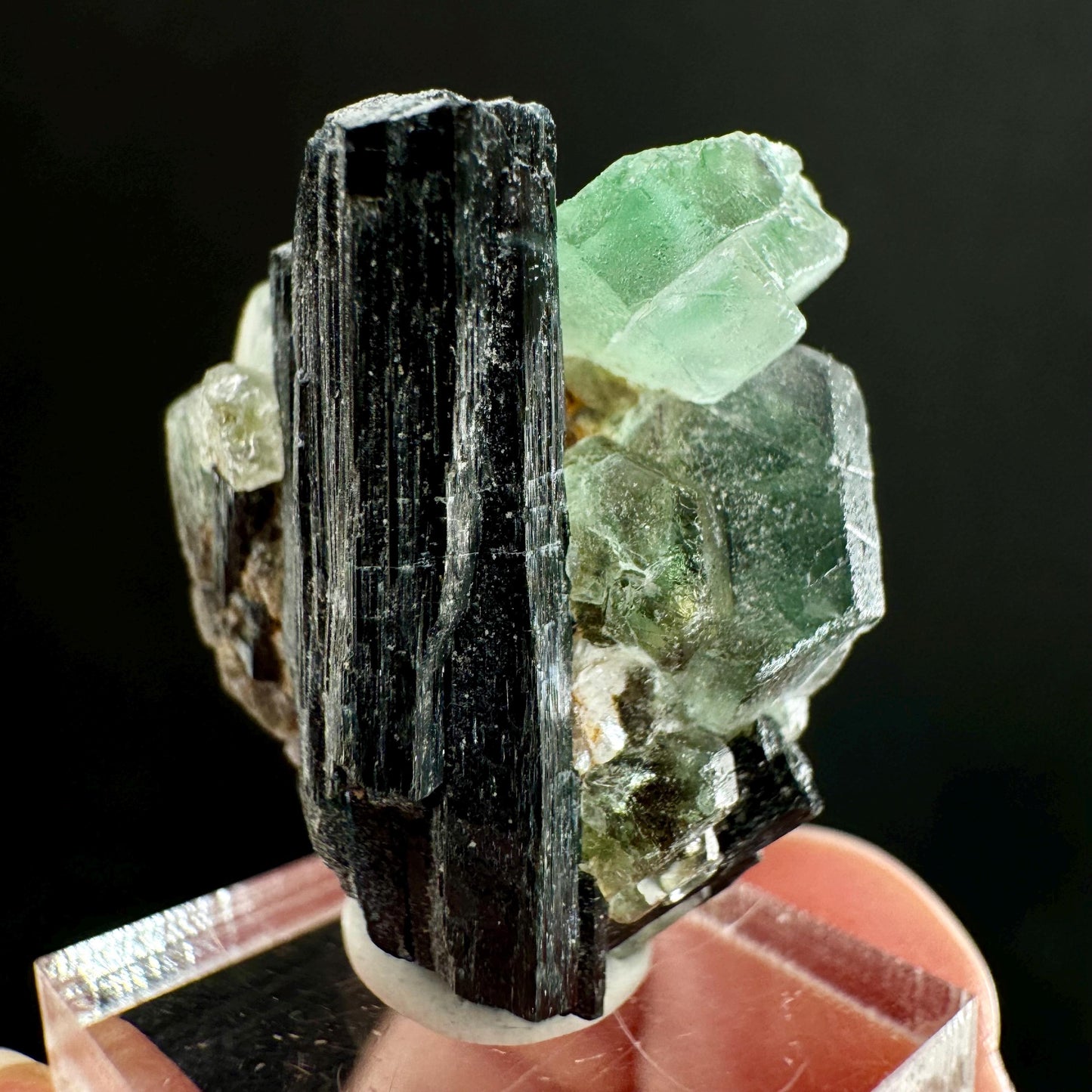 Fluorite w/ Schorl (Erongo, Namibia) | Lollipop Pocket, fluorite cluster, green fluorite, mineral specimen