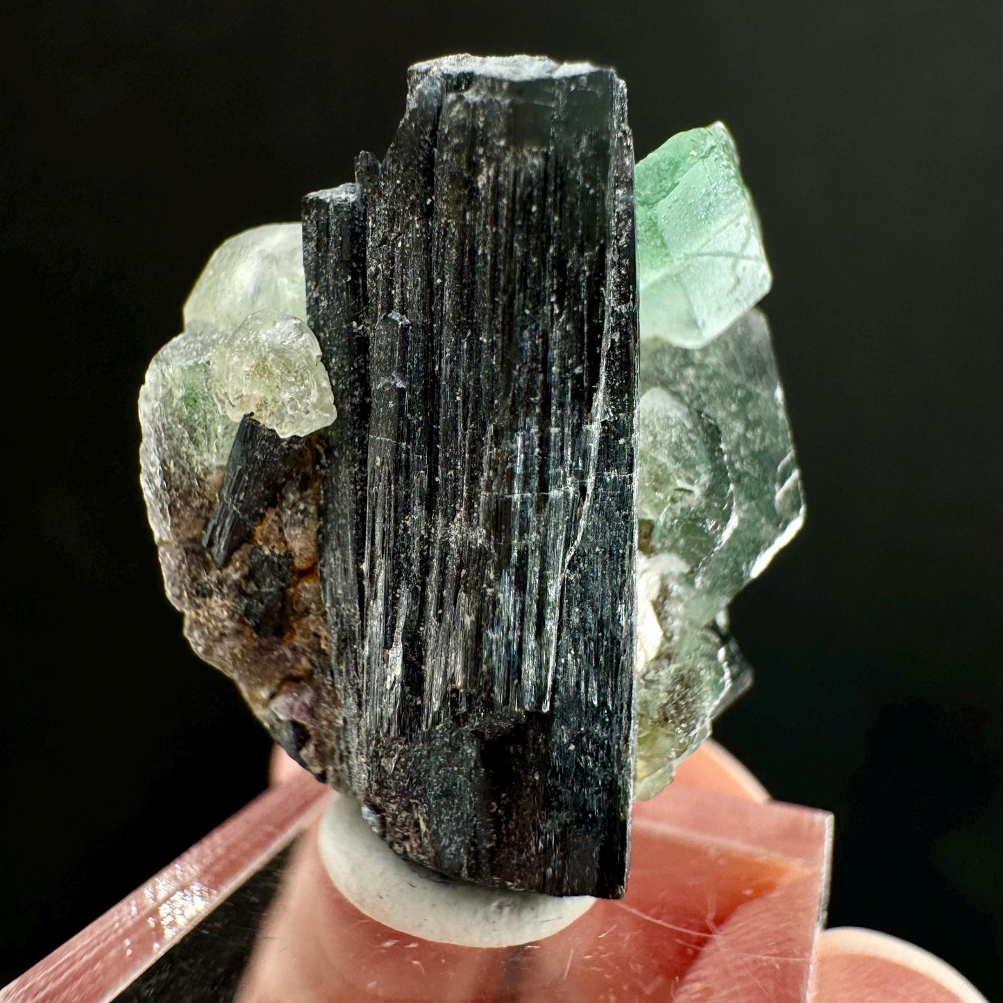 Fluorite w/ Schorl (Erongo, Namibia) | Lollipop Pocket, fluorite cluster, green fluorite, mineral specimen