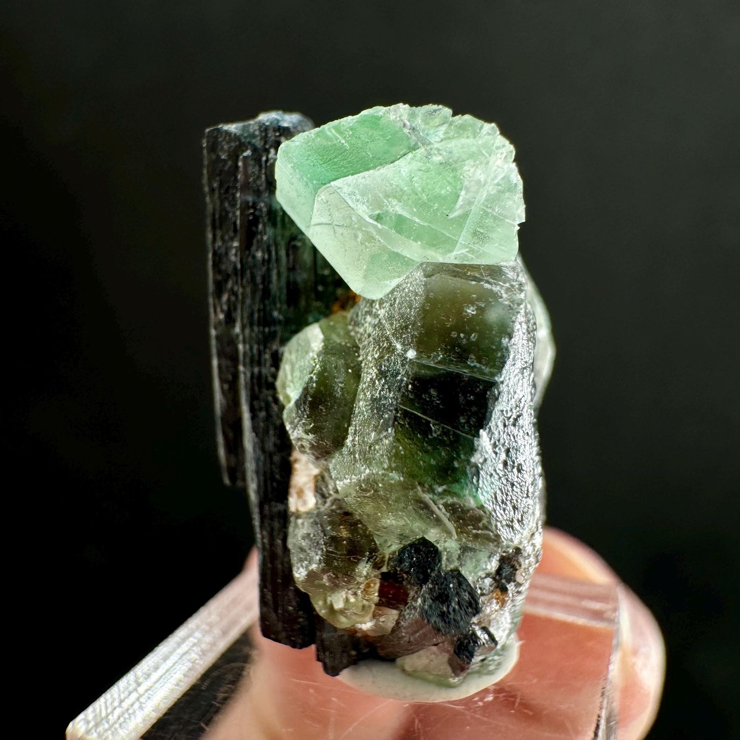 Fluorite w/ Schorl (Erongo, Namibia) | Lollipop Pocket, fluorite cluster, green fluorite, mineral specimen
