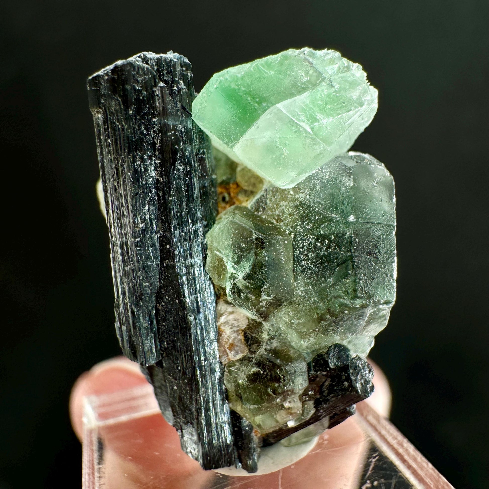 Fluorite w/ Schorl (Erongo, Namibia) | Lollipop Pocket, fluorite cluster, green fluorite, mineral specimen