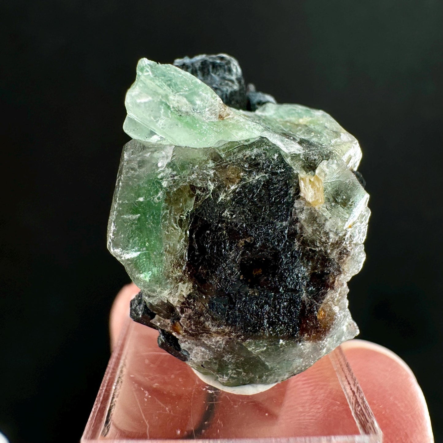 Fluorite w/ Schorl (Erongo, Namibia) | Lollipop Pocket, fluorite cluster, green fluorite, mineral specimen