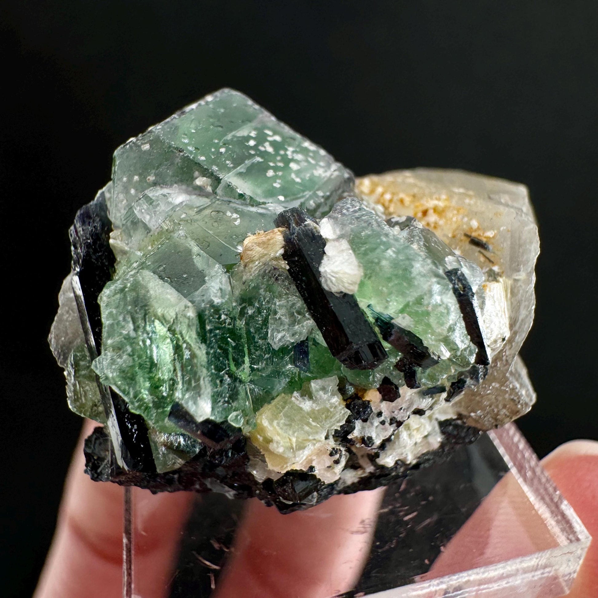 Fluorite w/ Schorl (Erongo, Namibia) | Lollipop Pocket, fluorite cluster, green fluorite, mineral specimen