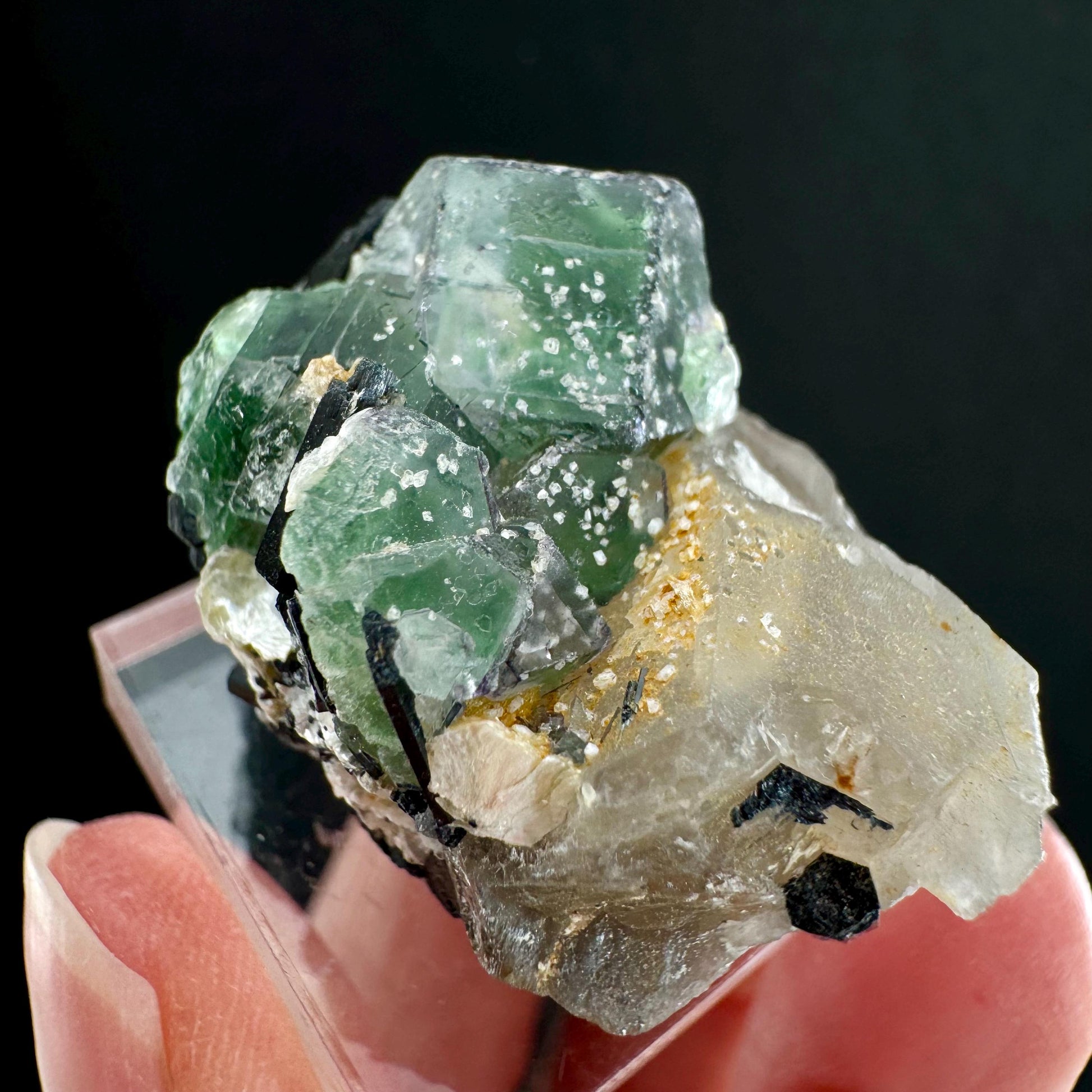 Fluorite w/ Schorl (Erongo, Namibia) | Lollipop Pocket, fluorite cluster, green fluorite, mineral specimen