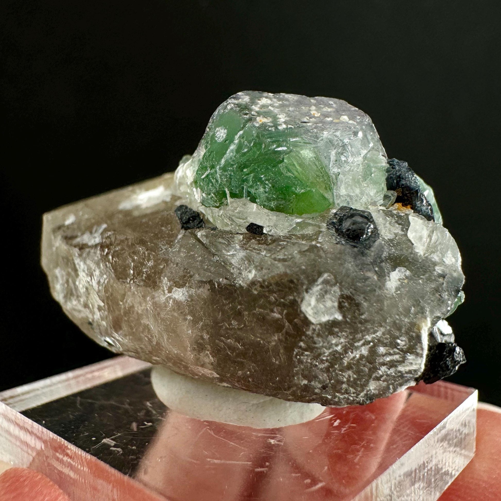 Fluorite w/ Schorl (Erongo, Namibia) | Lollipop Pocket, fluorite cluster, green fluorite, mineral specimen