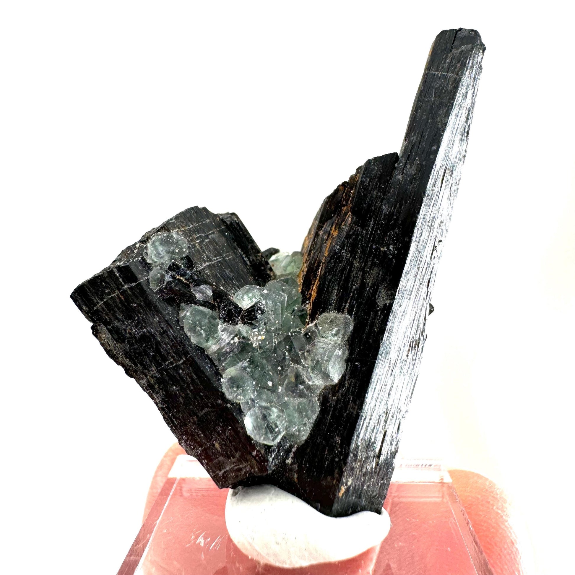 Fluorite w/ Schorl (Erongo, Namibia) | Lollipop Pocket, fluorite cluster, green fluorite, mineral specimen