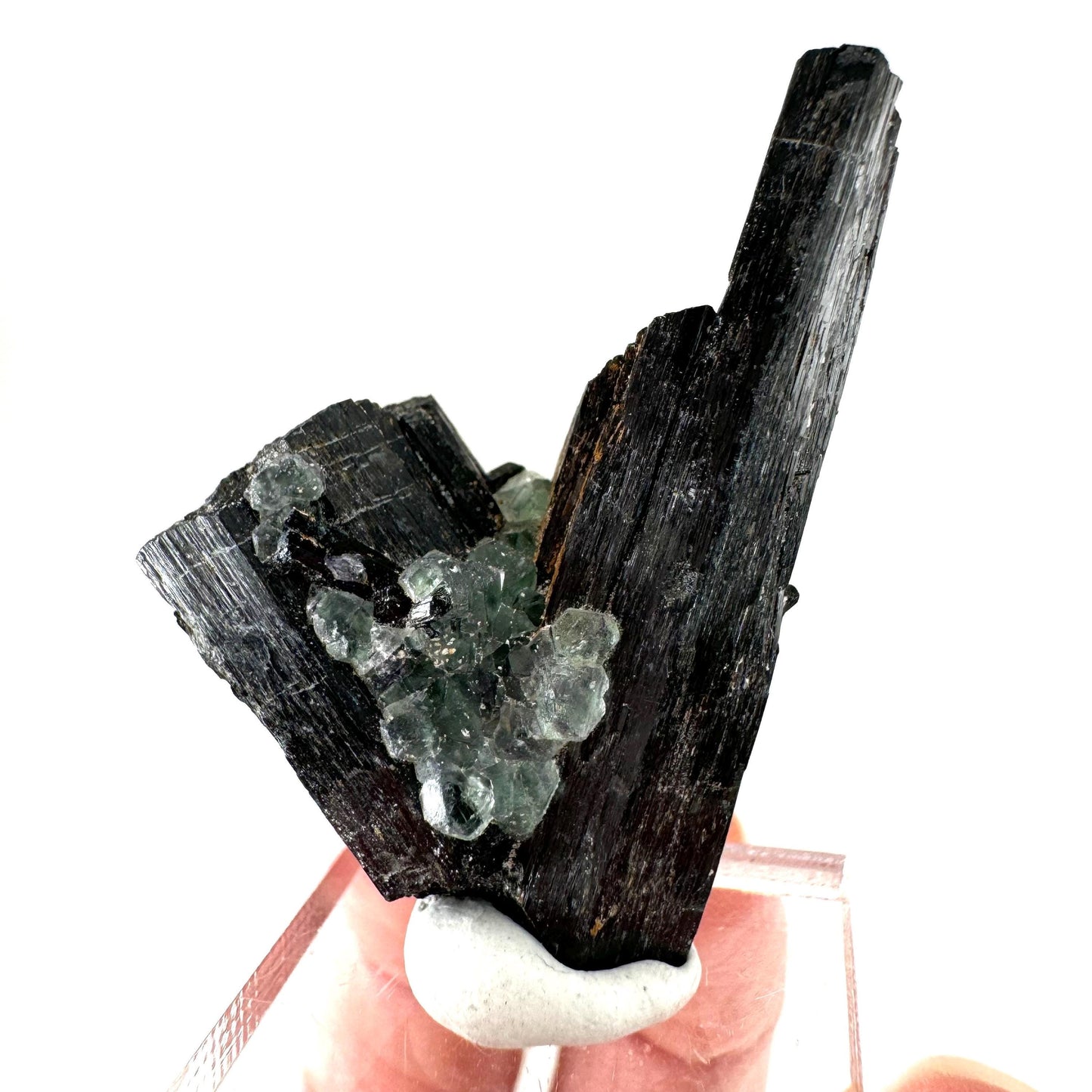 Fluorite w/ Schorl (Erongo, Namibia) | Lollipop Pocket, fluorite cluster, green fluorite, mineral specimen