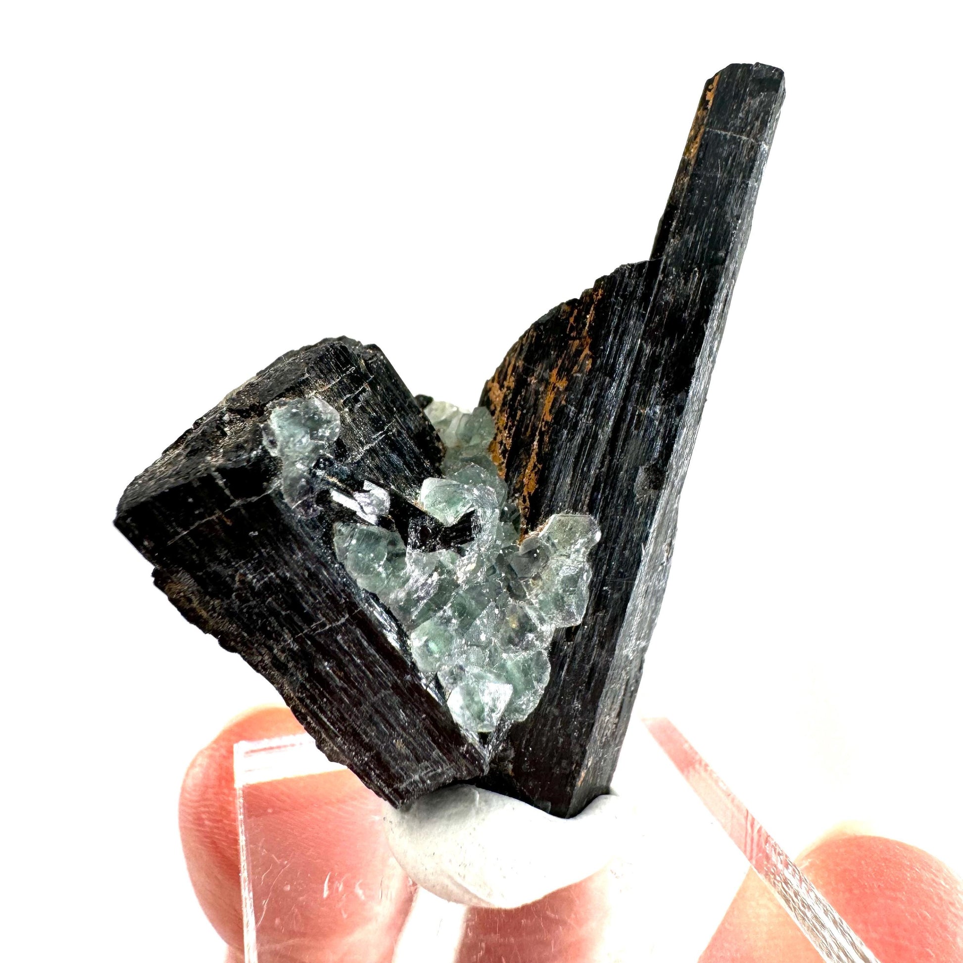Fluorite w/ Schorl (Erongo, Namibia) | Lollipop Pocket, fluorite cluster, green fluorite, mineral specimen