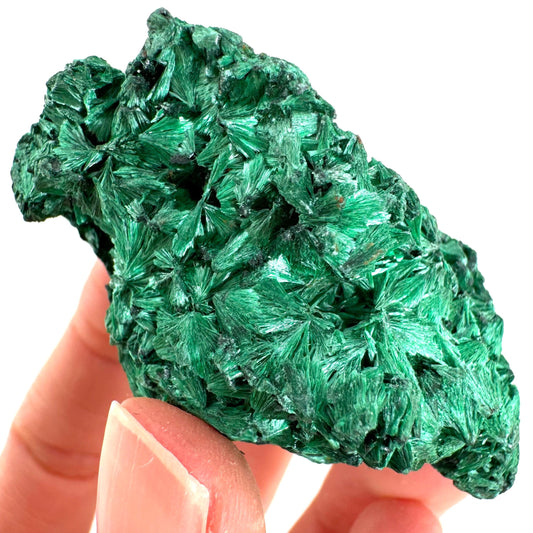 Fibrous Velvet Malachite Specimen (Congo), natural malachite, velvet malachite, malachite crystal