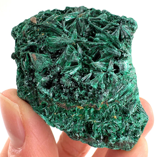 Fibrous Velvet Malachite Specimen (Congo), natural malachite, velvet malachite, malachite crystal