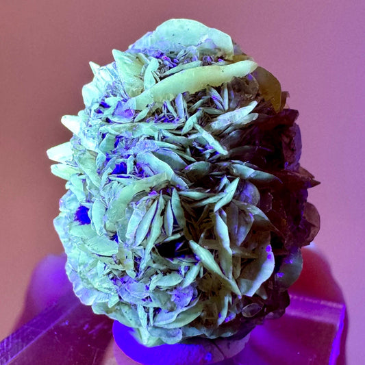 Fluorescent & Phosphorescent Golden Selenite (Canada) | selenite rosette, selenite crystal, UV reactive crystal, crystals